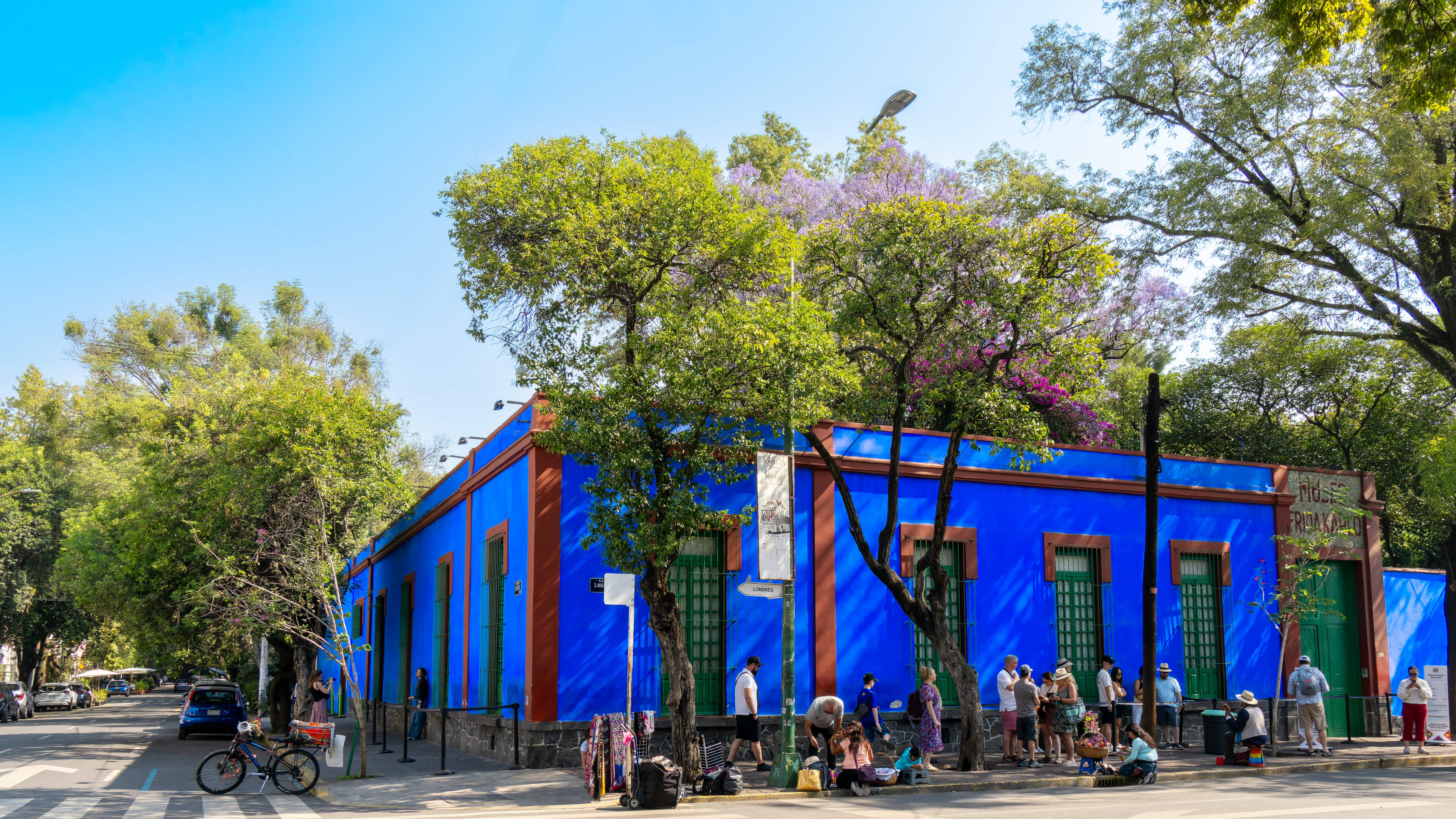 Mexico City: Xochimilco, Coyoacán, and Frida Kahlo Museum Tour