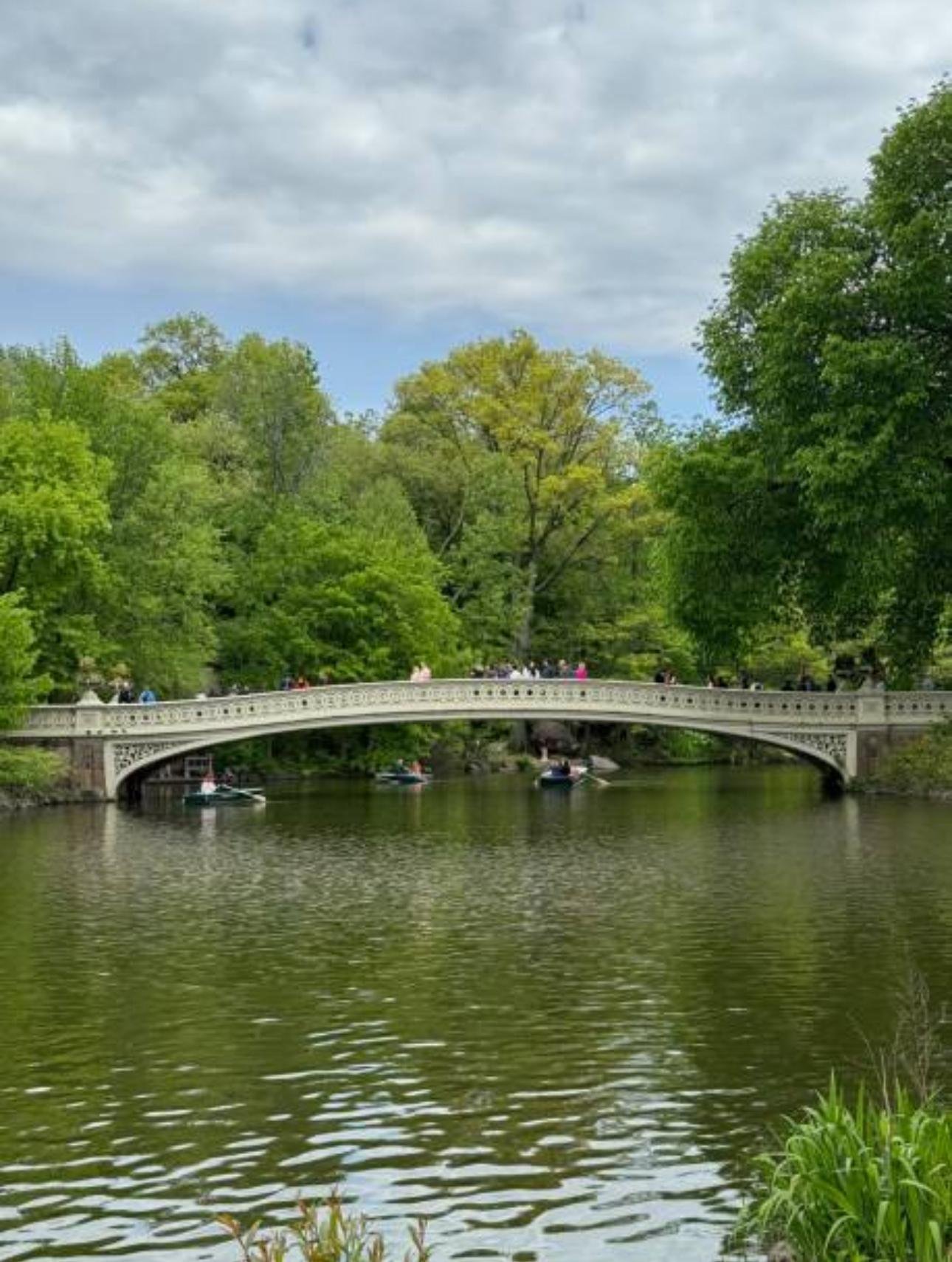 Private Central Park Horse Carriage Tour with Guide