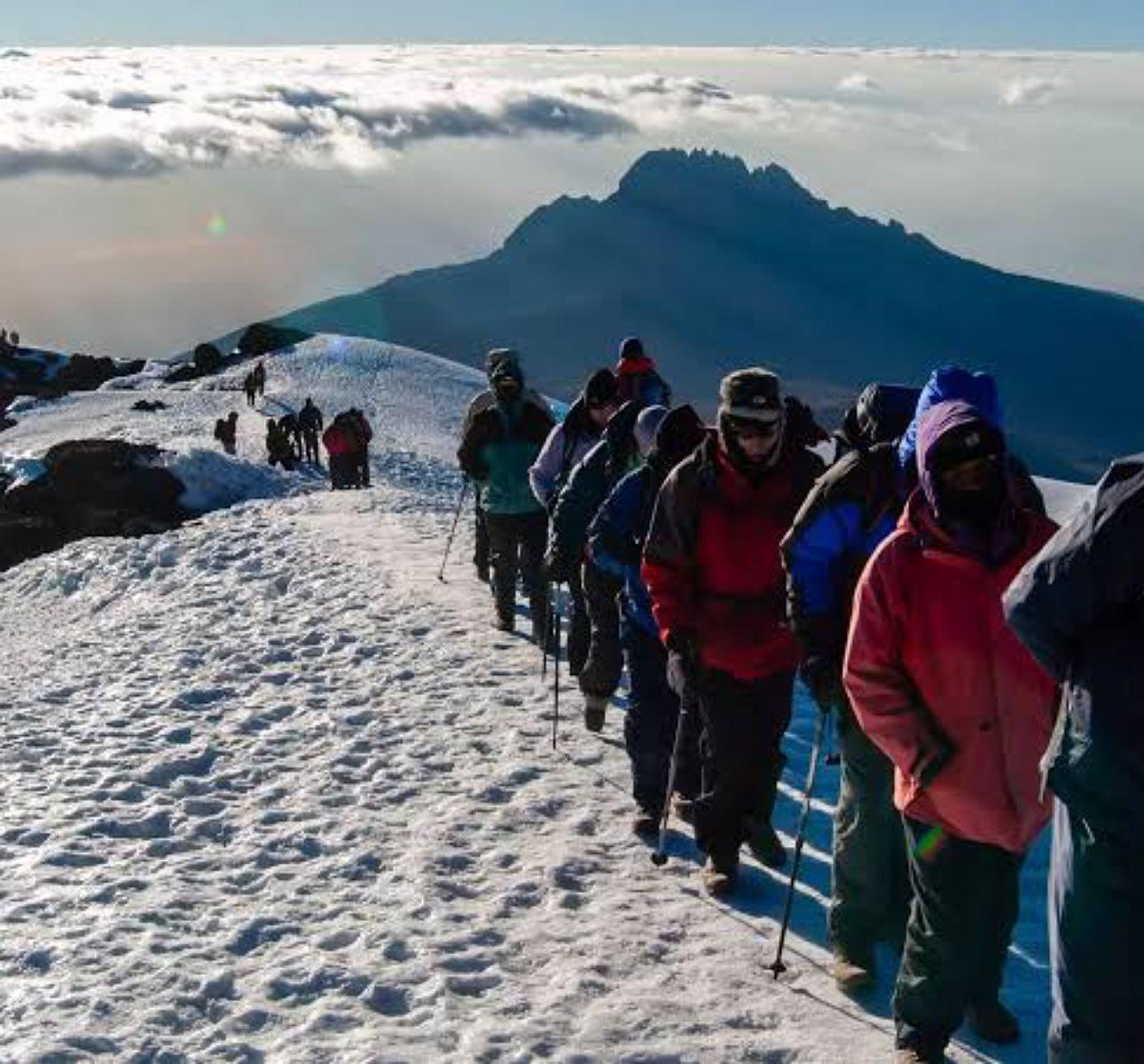 Kilimanjaro Day Hike with Local Guide