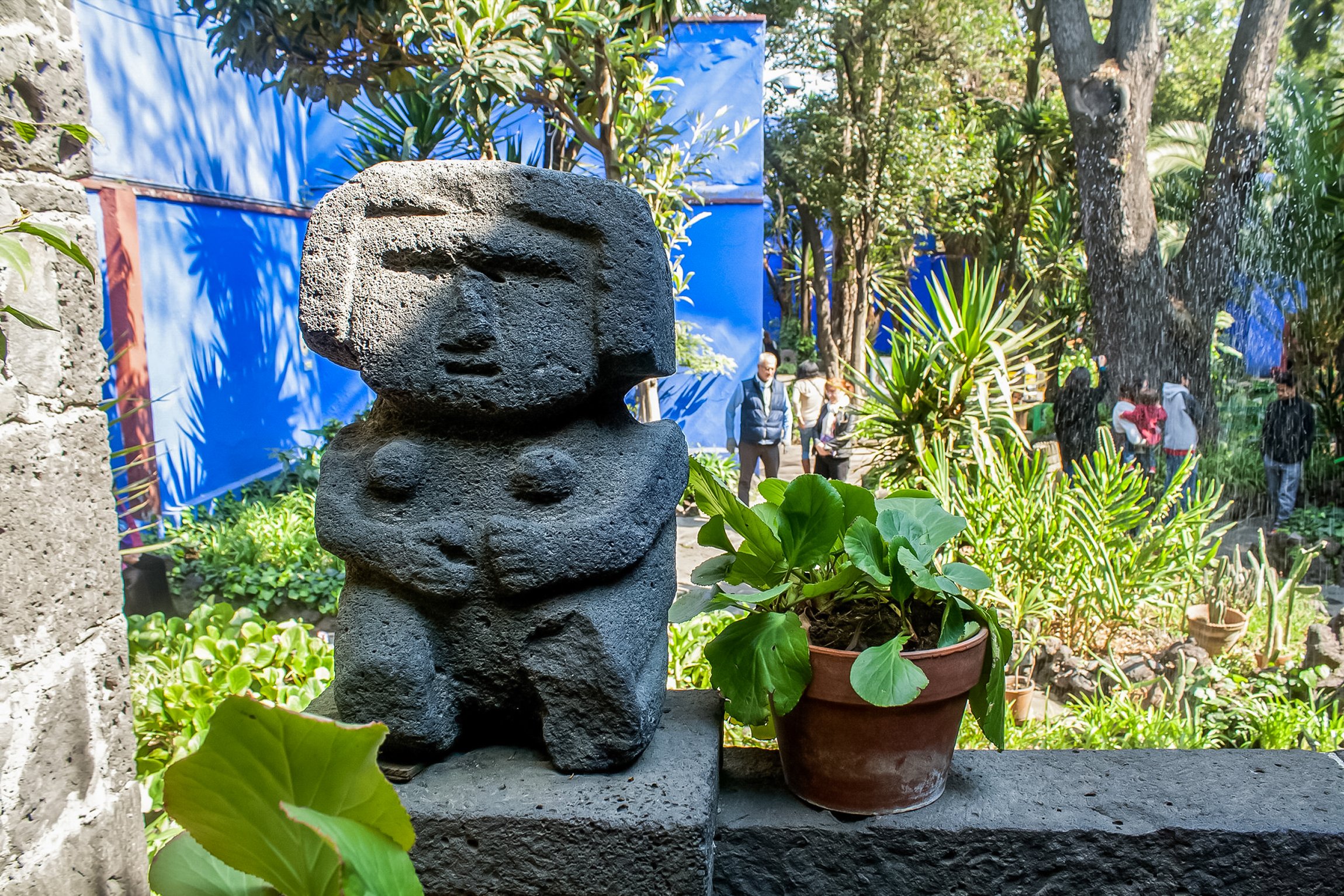 Mexico City: Xochimilco, Coyoacán & Frida Kahlo Experience