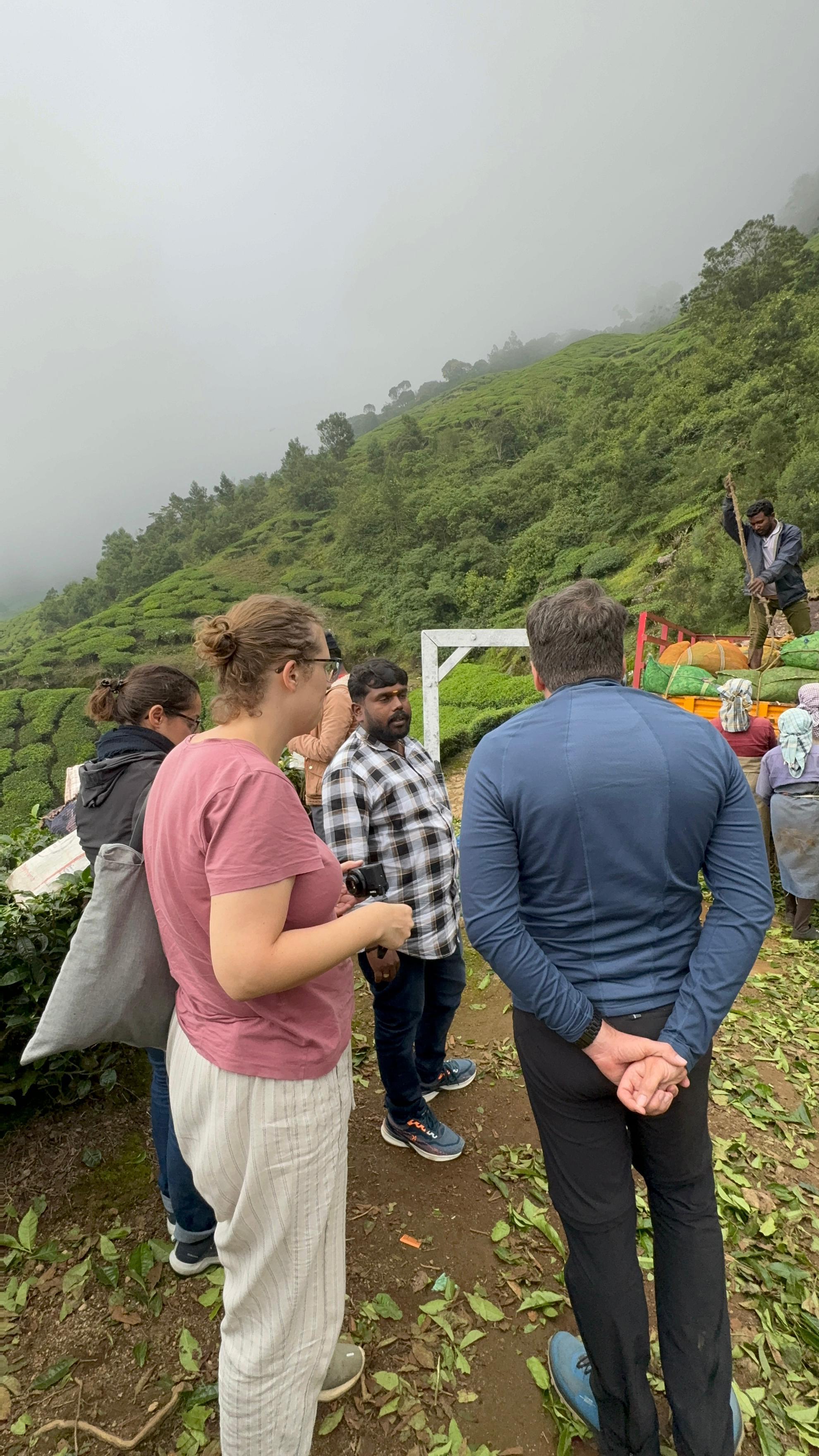 Munnar: Kolukkumalai High-Altitude Tea Estate Jeep Adventure