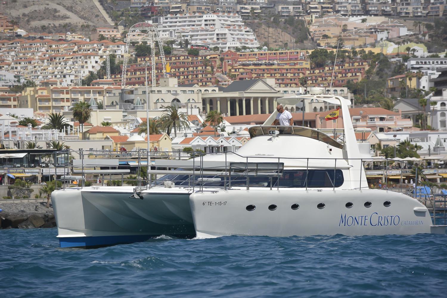 Tenerife Whale & Dolphin Catamaran Cruise with Buffet