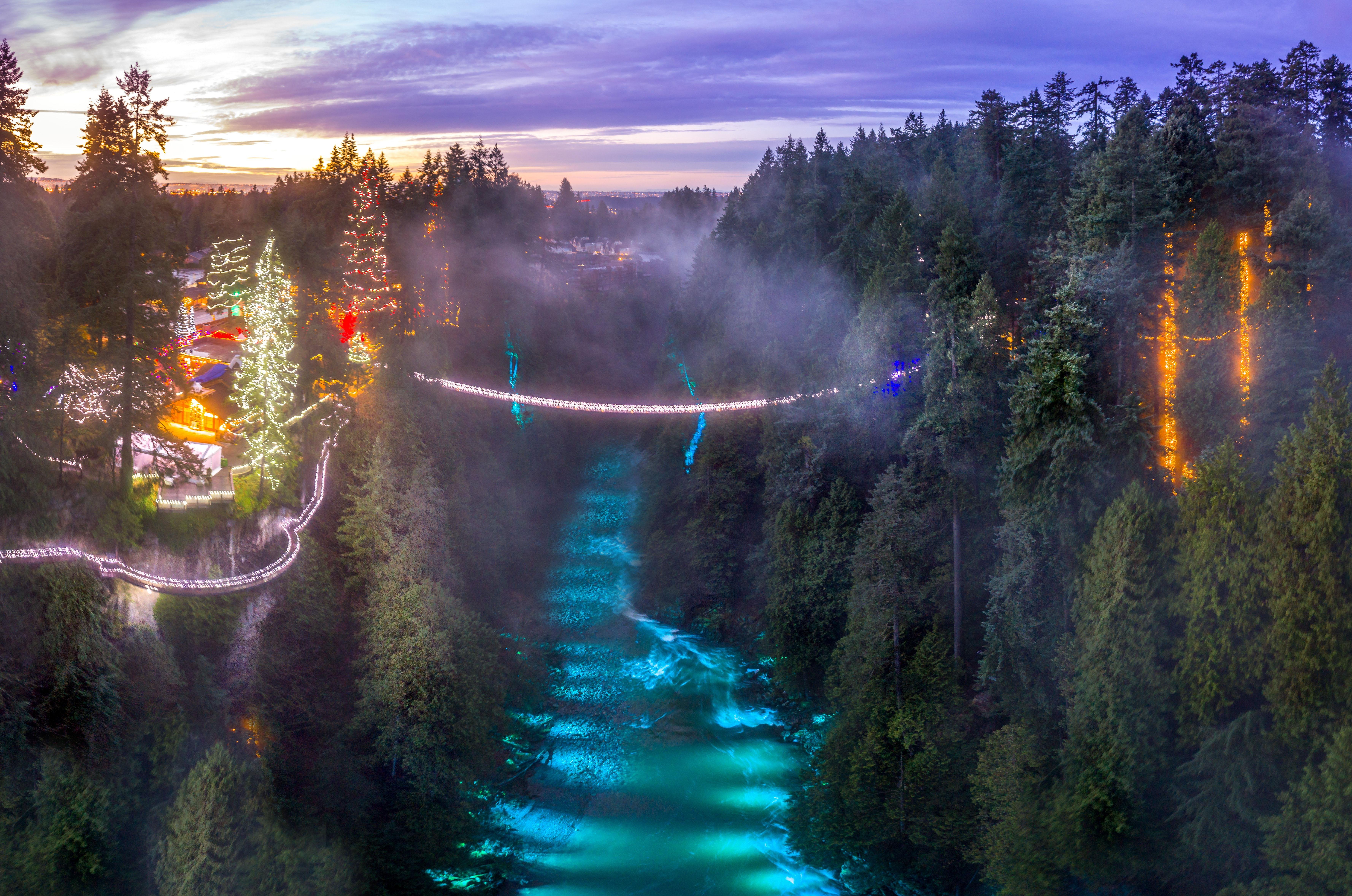Vancouver Highlights: City Tour, Capilano Bridge & Granville Island
