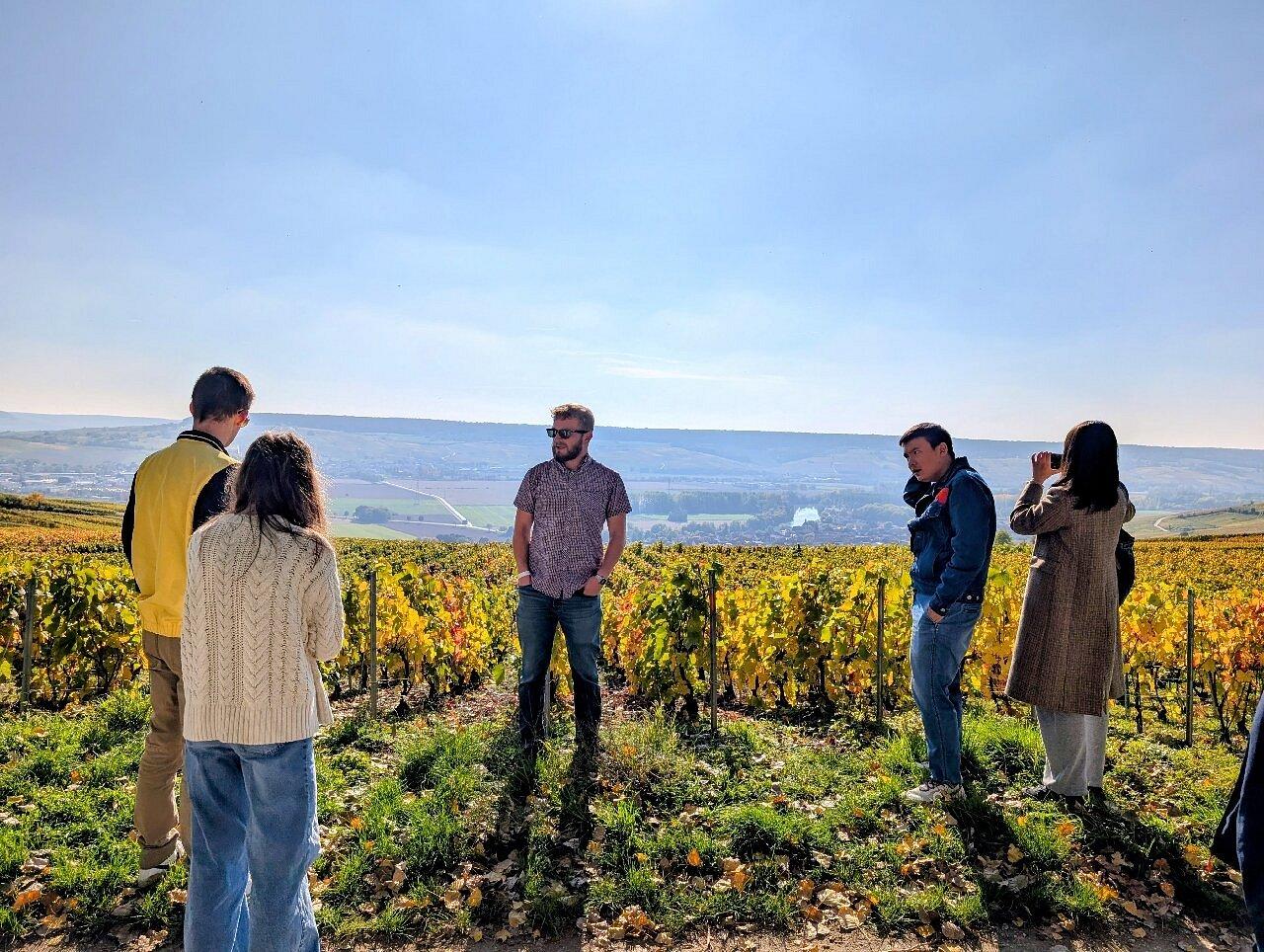 Reims or Epernay: Short day family growers & lunch