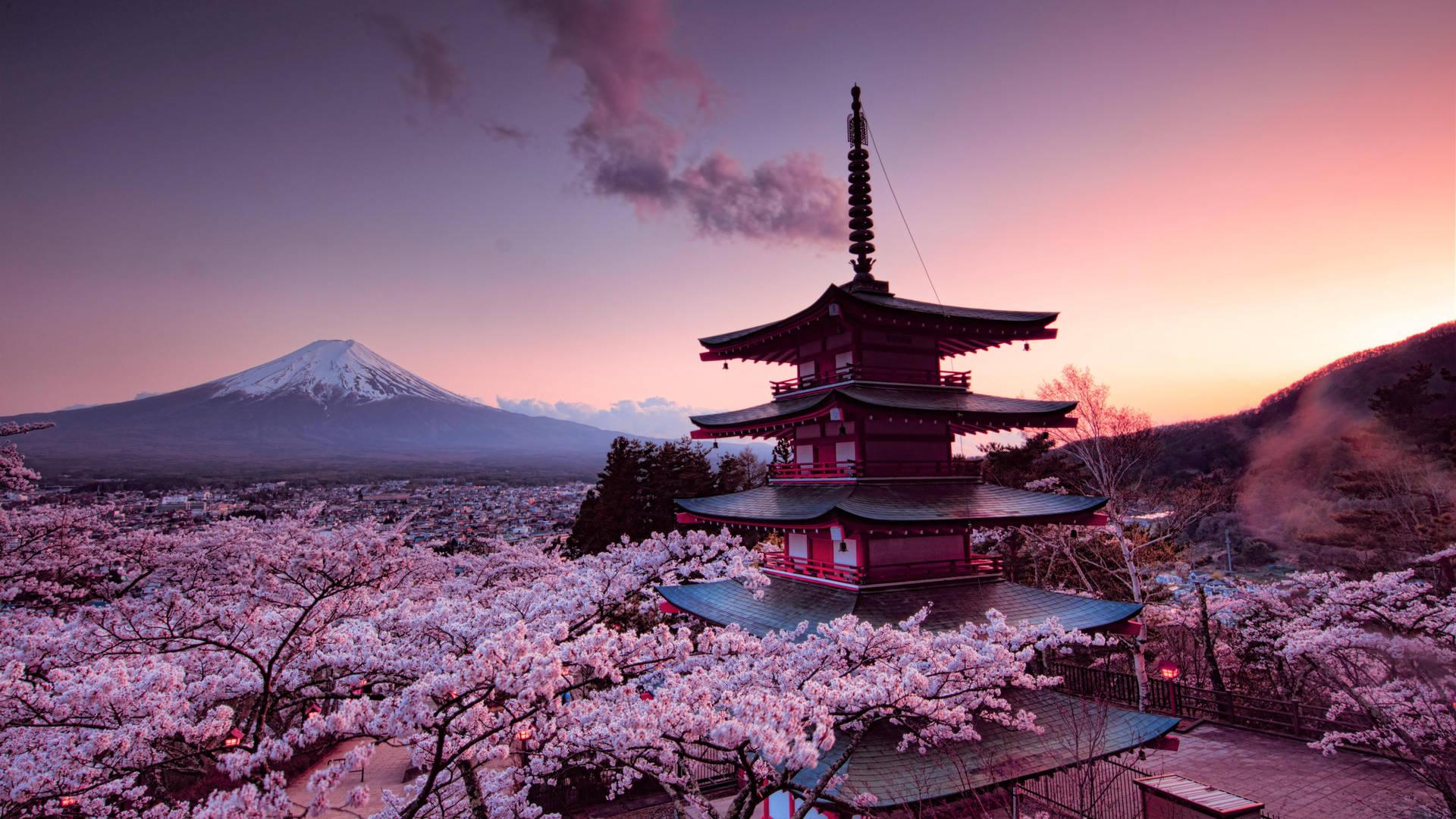 Tokyo to Mt. Fuji & Hakone Private Day Tour