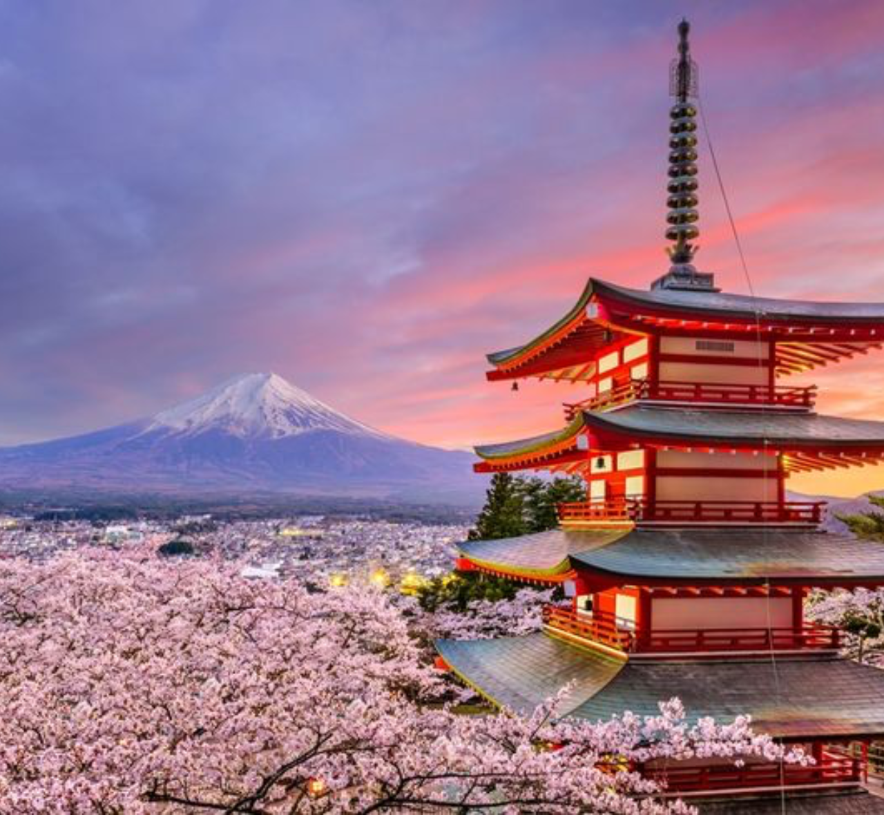 Private Mount Fuji Day Trip from Tokyo