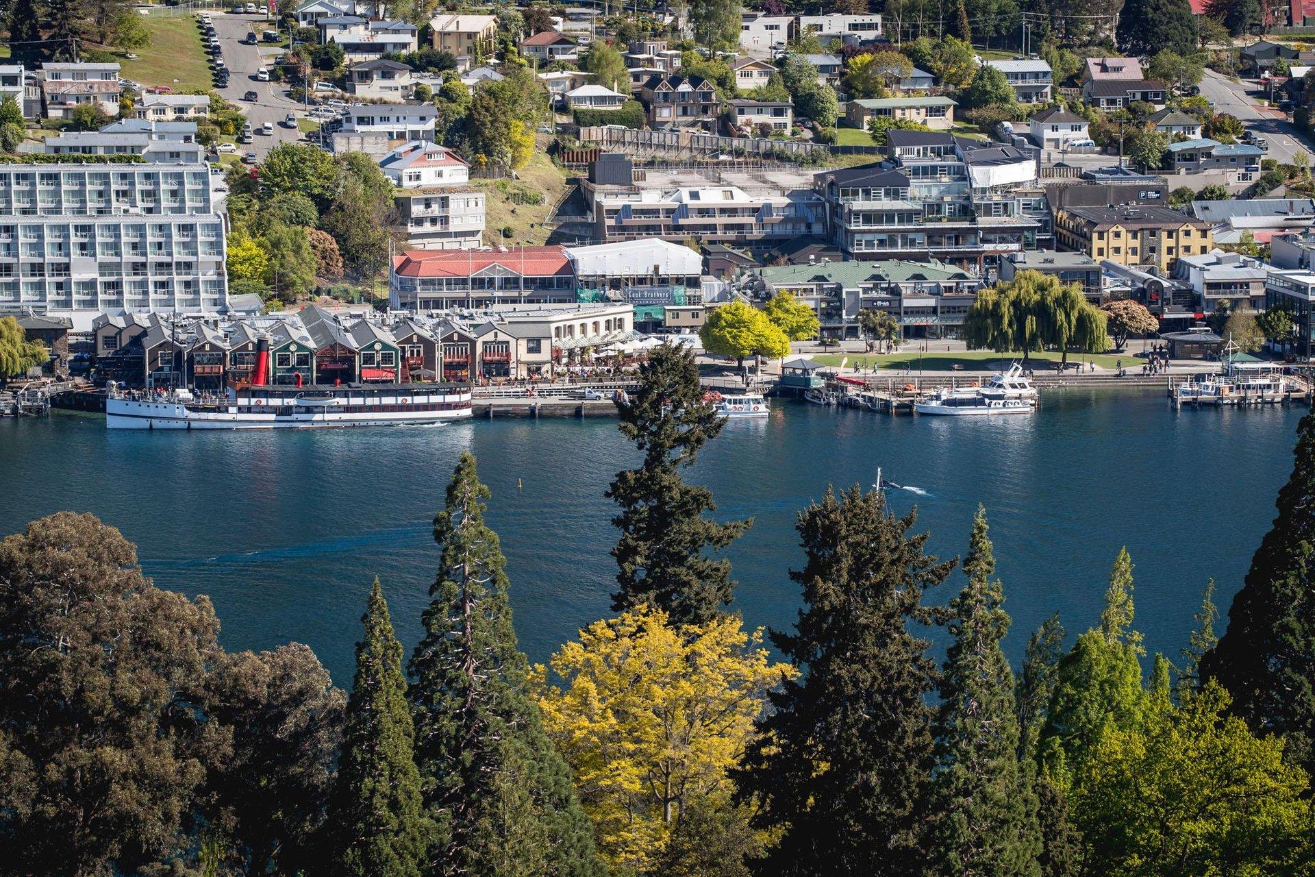 South Island guided tour photo — image 6