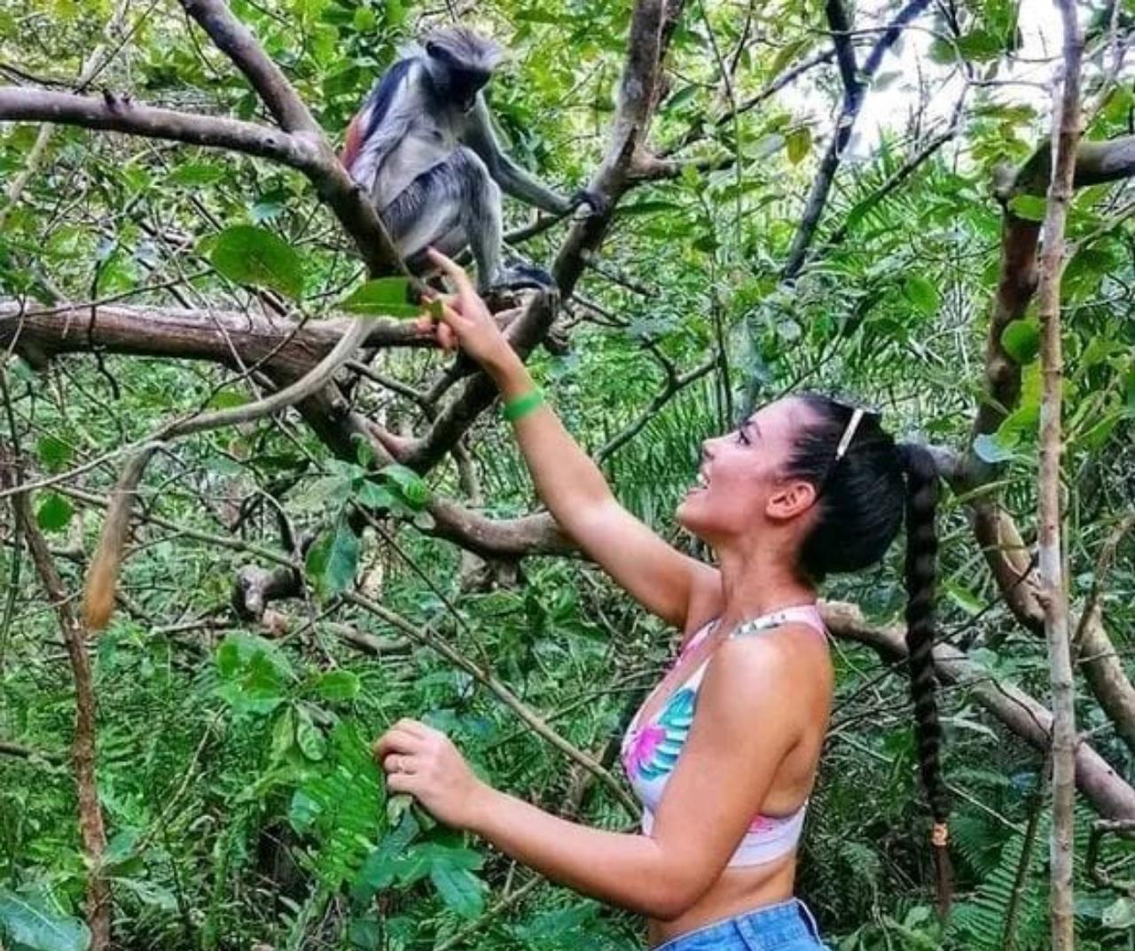 Zanzibar: Jozani Forest, Salaam Cave & The Rock Restaurant Day Tour