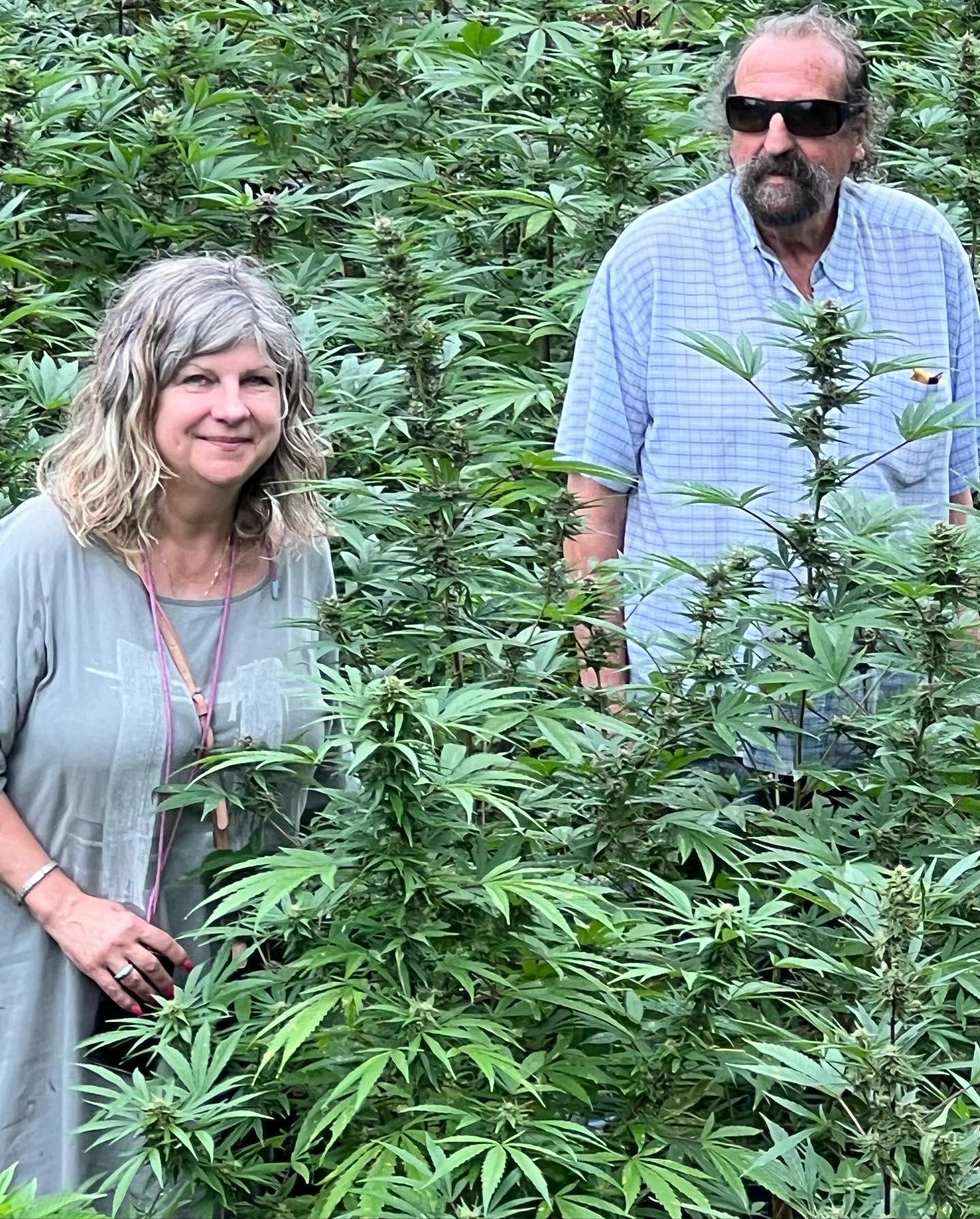 Negril Herb Farm, Mineral Spring, and Rick's Cafe Adventure