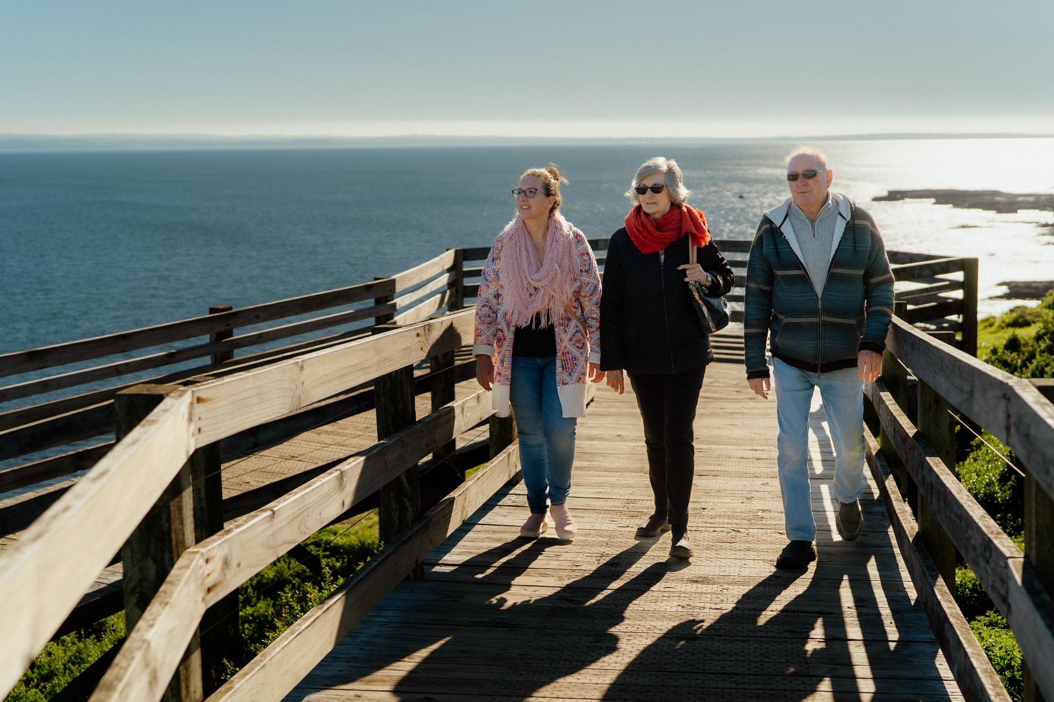 Phillip Island Wildlife & Penguin Parade Day Tour