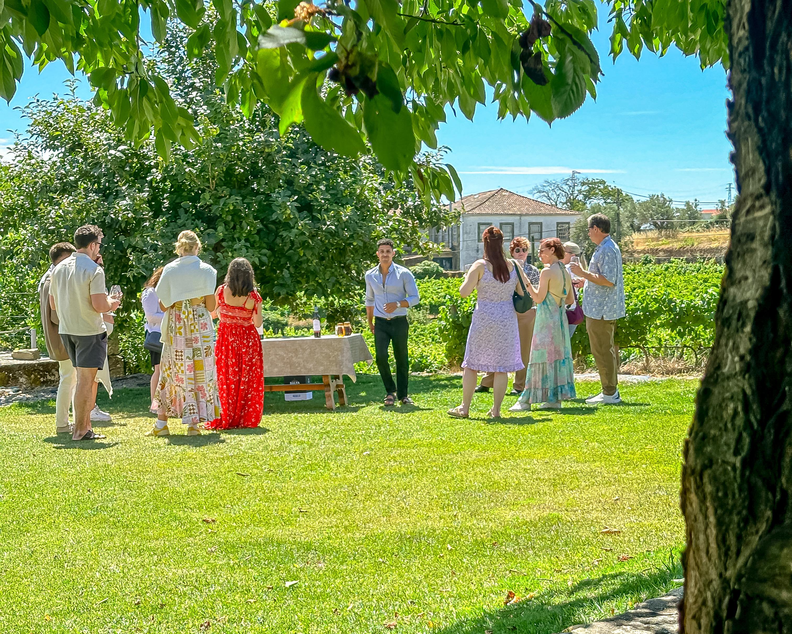 Douro Valley Small-Group Wine & River Cruise Day Trip from Porto
