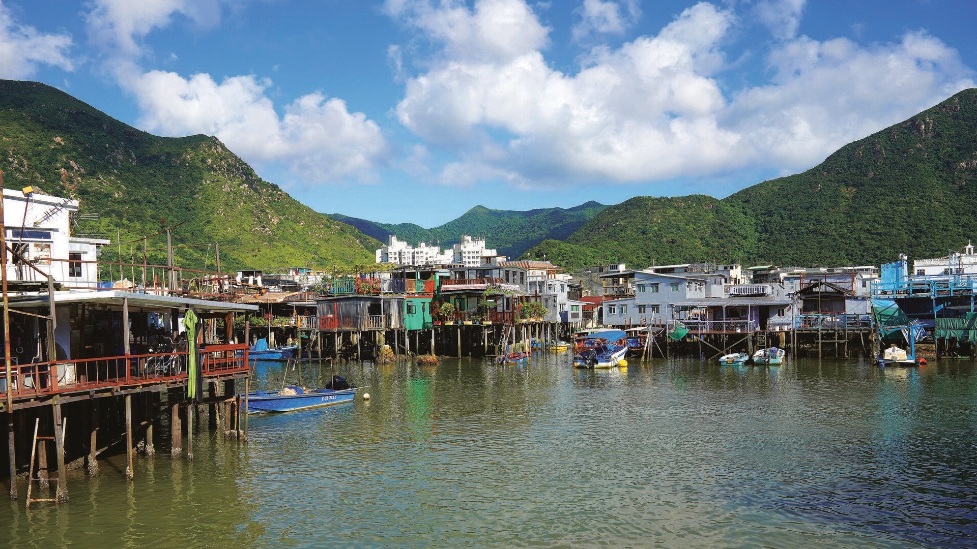 Lantau Island Afternoon Tour: Big Buddha, Tai O Village & Ngong Ping Cable Car