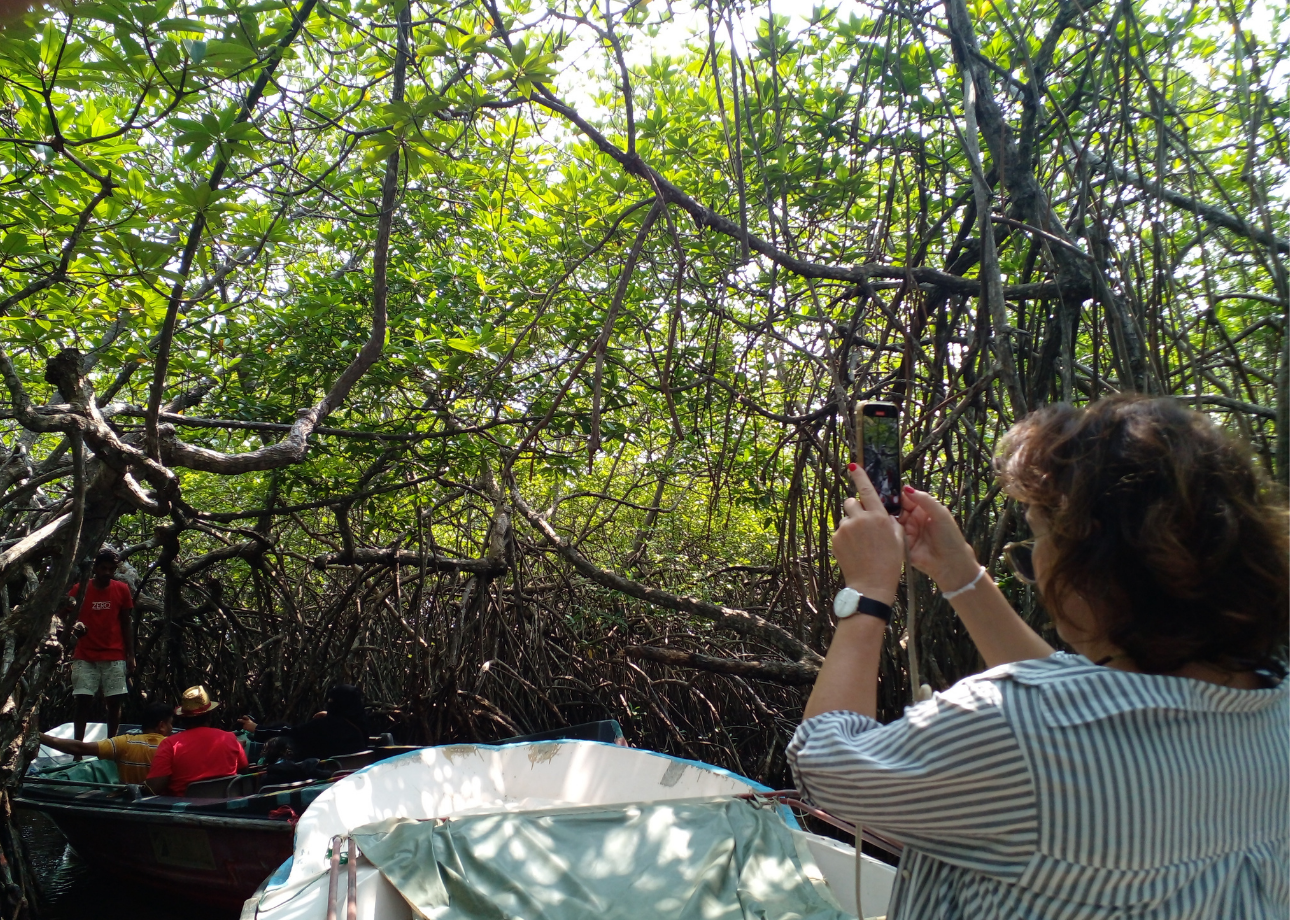Bentota River Safari & Mangrove Wildlife Experience