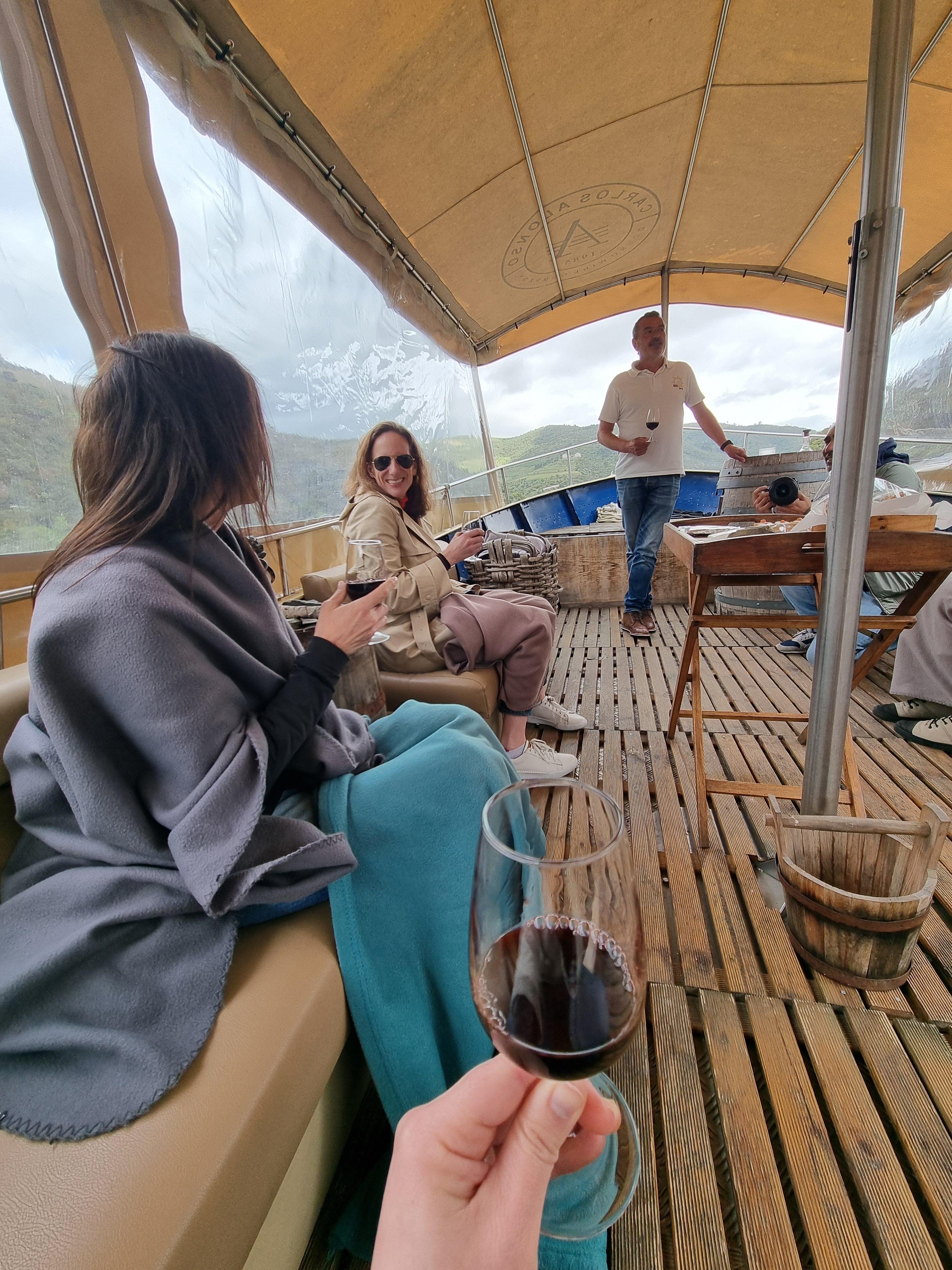 Douro Valley Small-Group Wine & Boat Tour from Porto