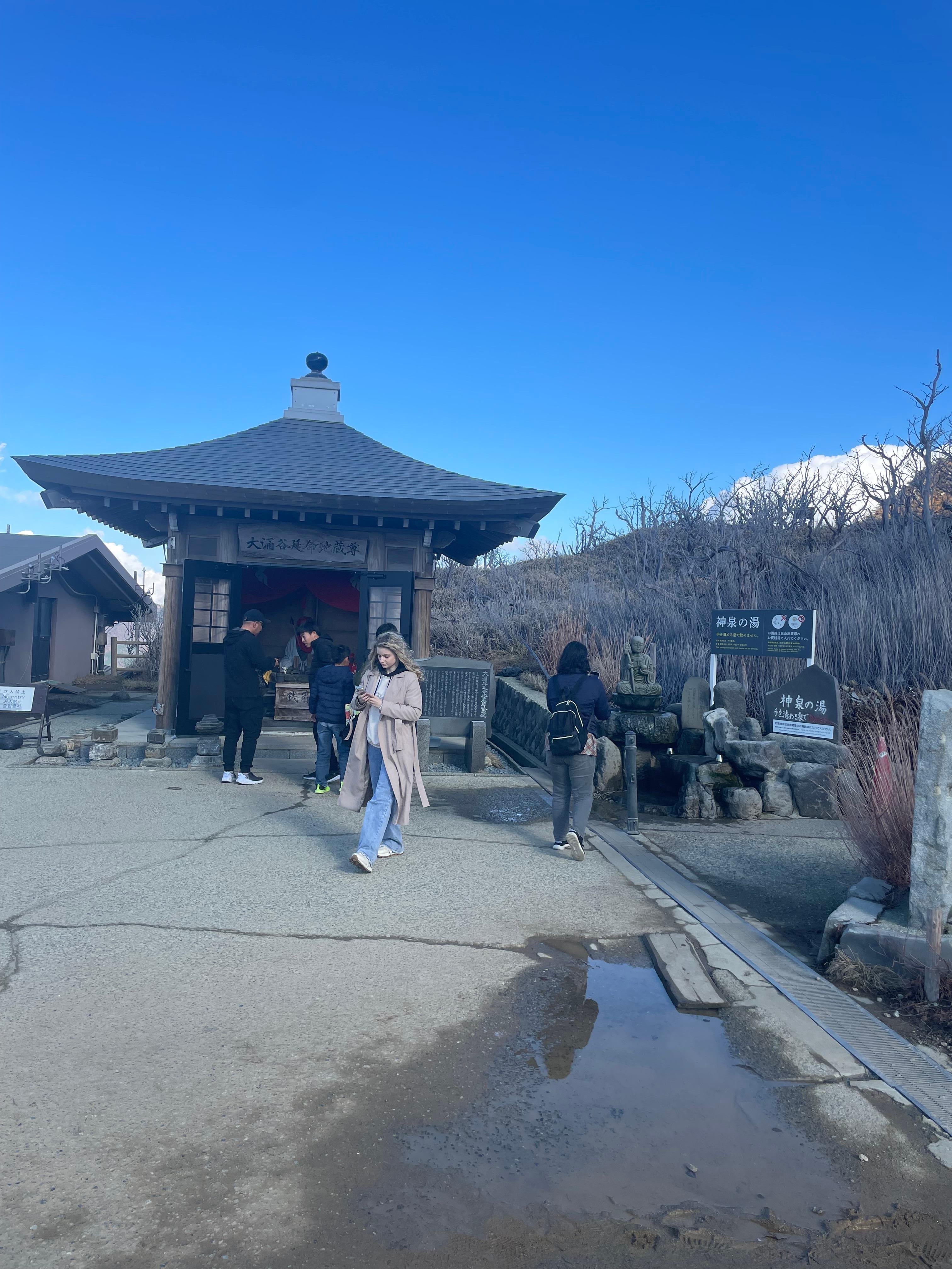 Hakone Private Full-Day Tour from Tokyo