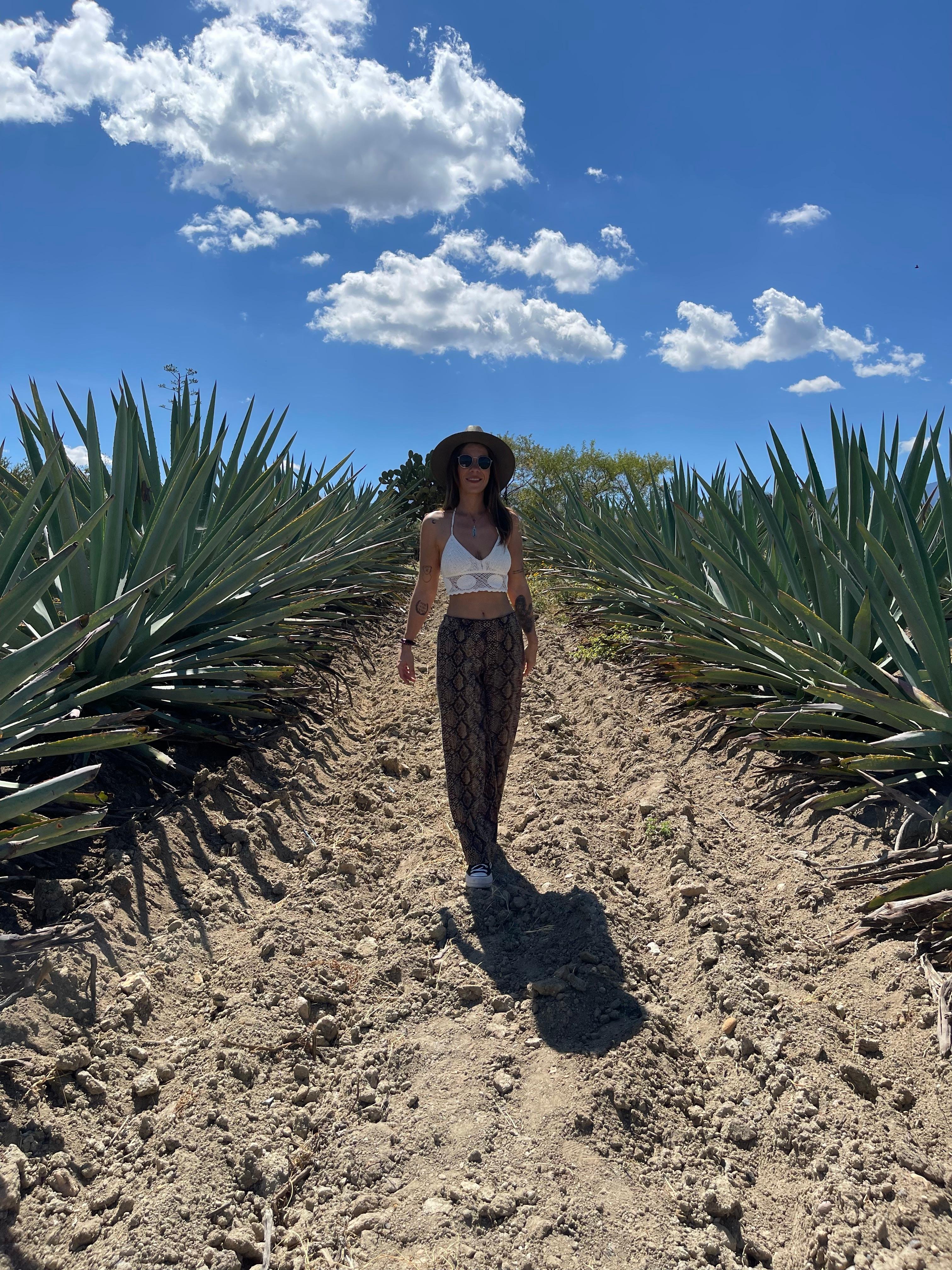 mezcal tasting in Oaxaca — photo 10