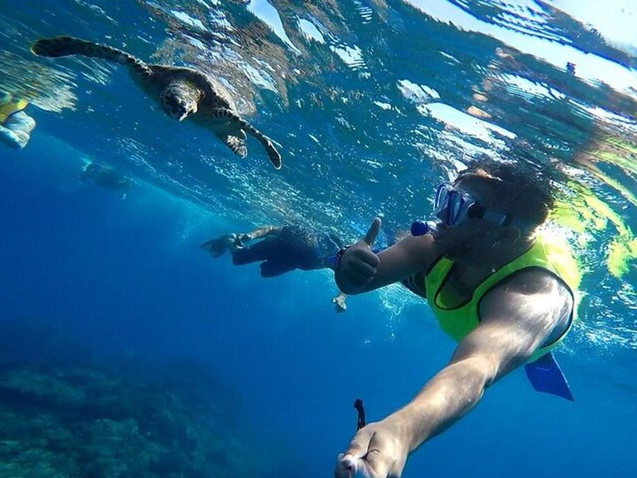 Caño Island Snorkeling Adventure with Beach Stop & Lunch