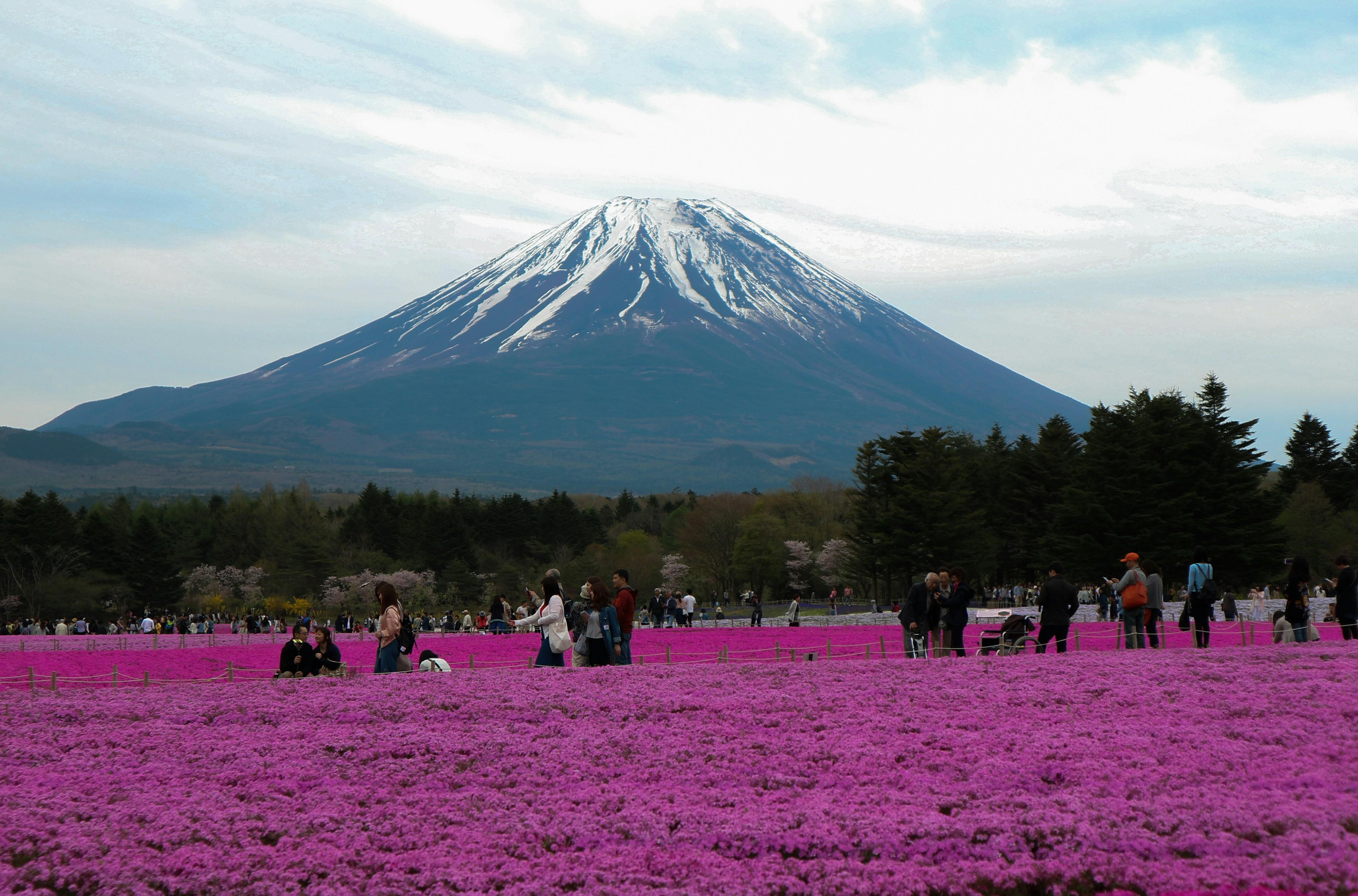 Private Mount Fuji Custom Day Trip from Tokyo