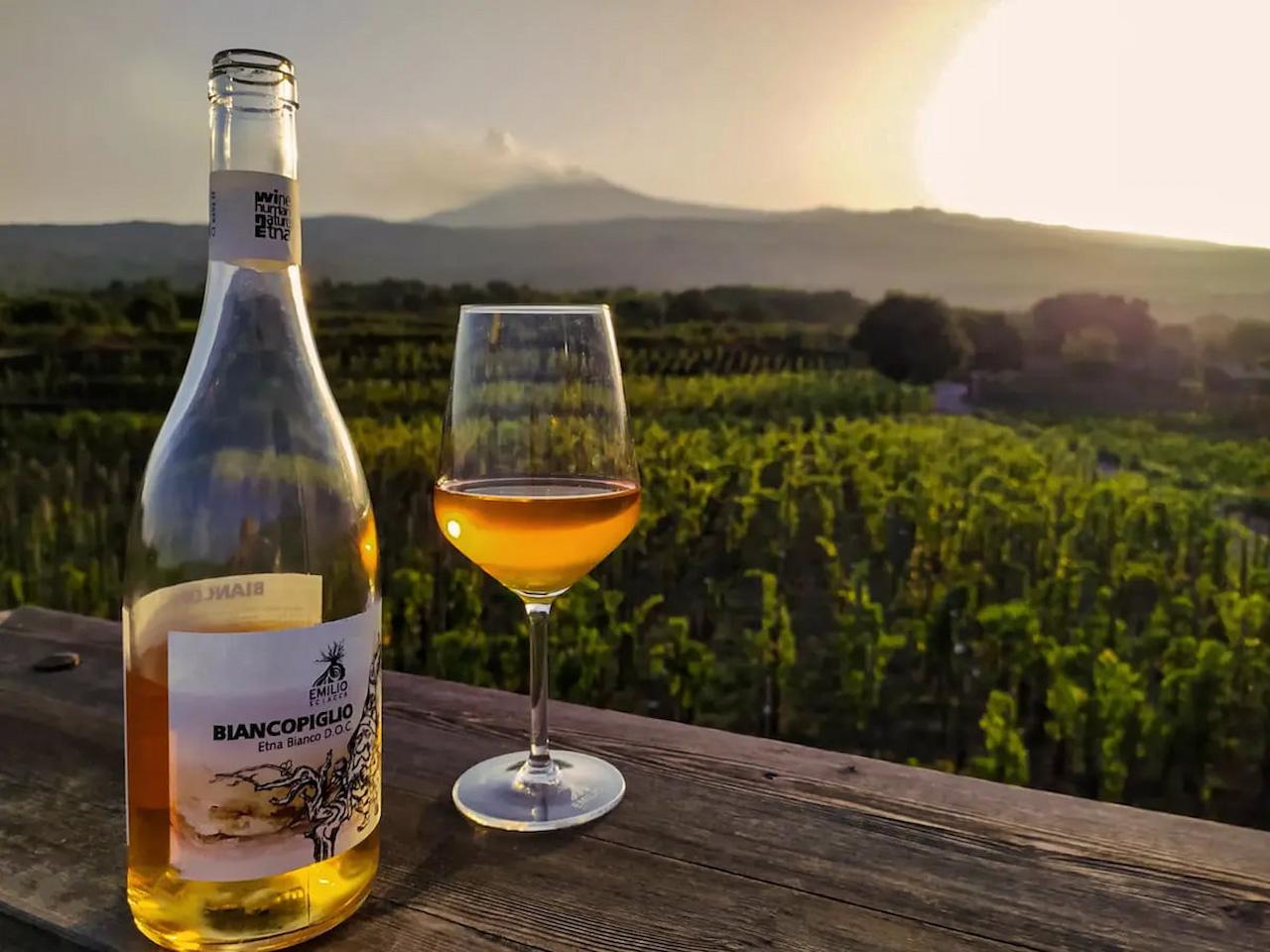 Mount Etna North Side & Wine Full-Day Tour from Taormina