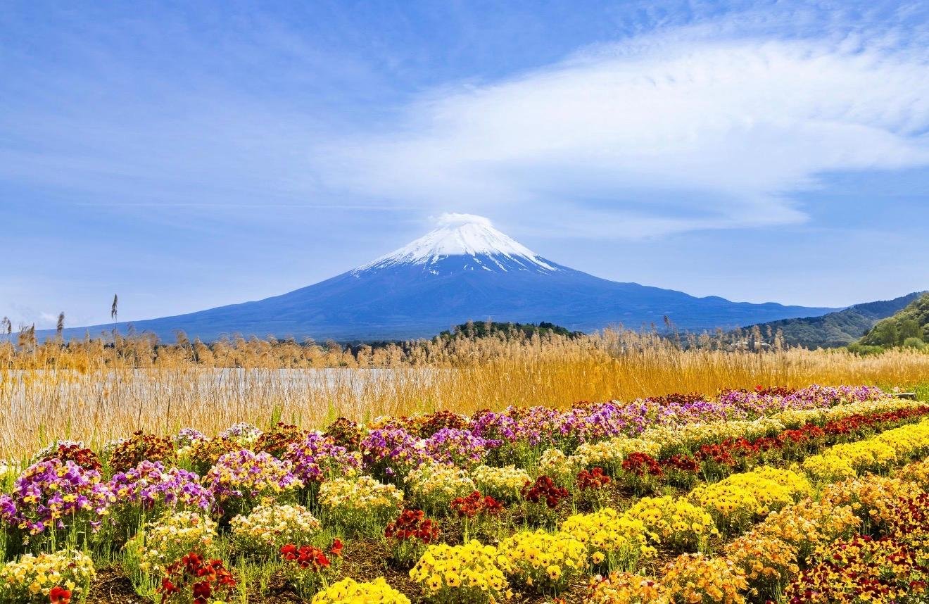 Customizable Mount Fuji Private Day Trip from Tokyo