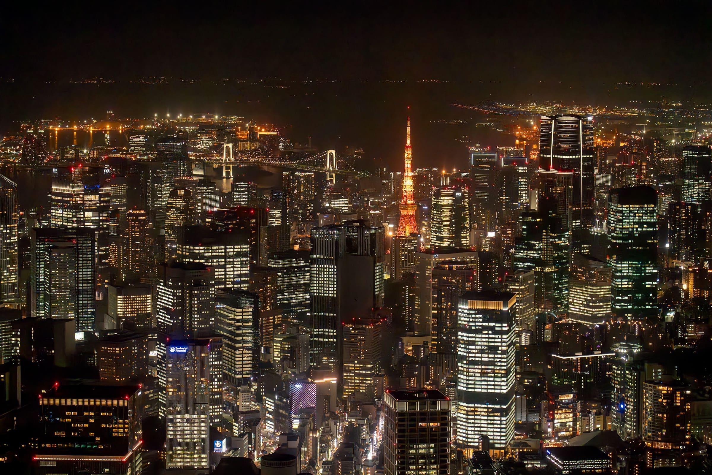 Tokyo helicopter tour view — image 3