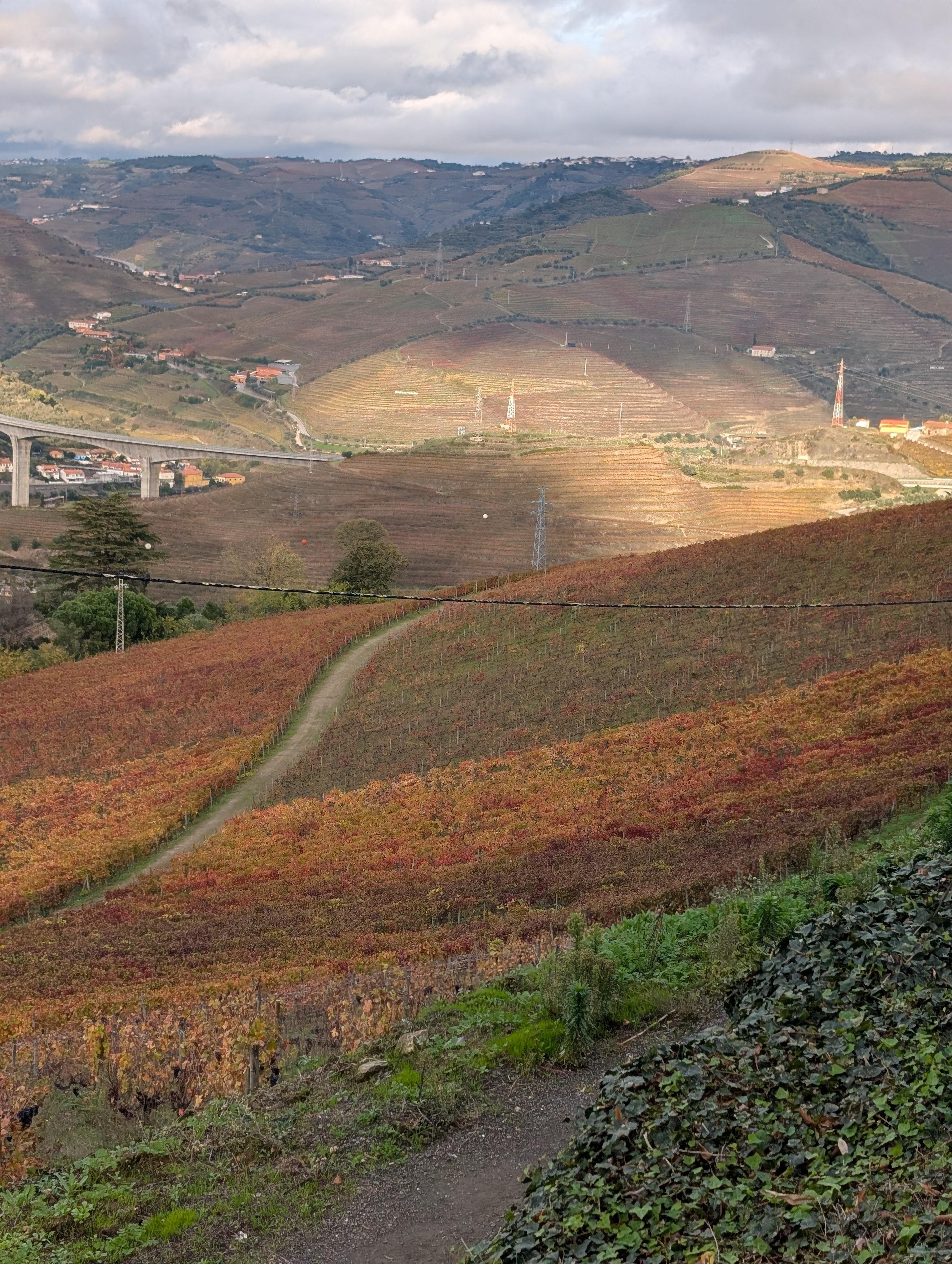 Porto: Douro Valley & Vinho Verde Day Tour with Tastings, Lunch & Boat Cruise
