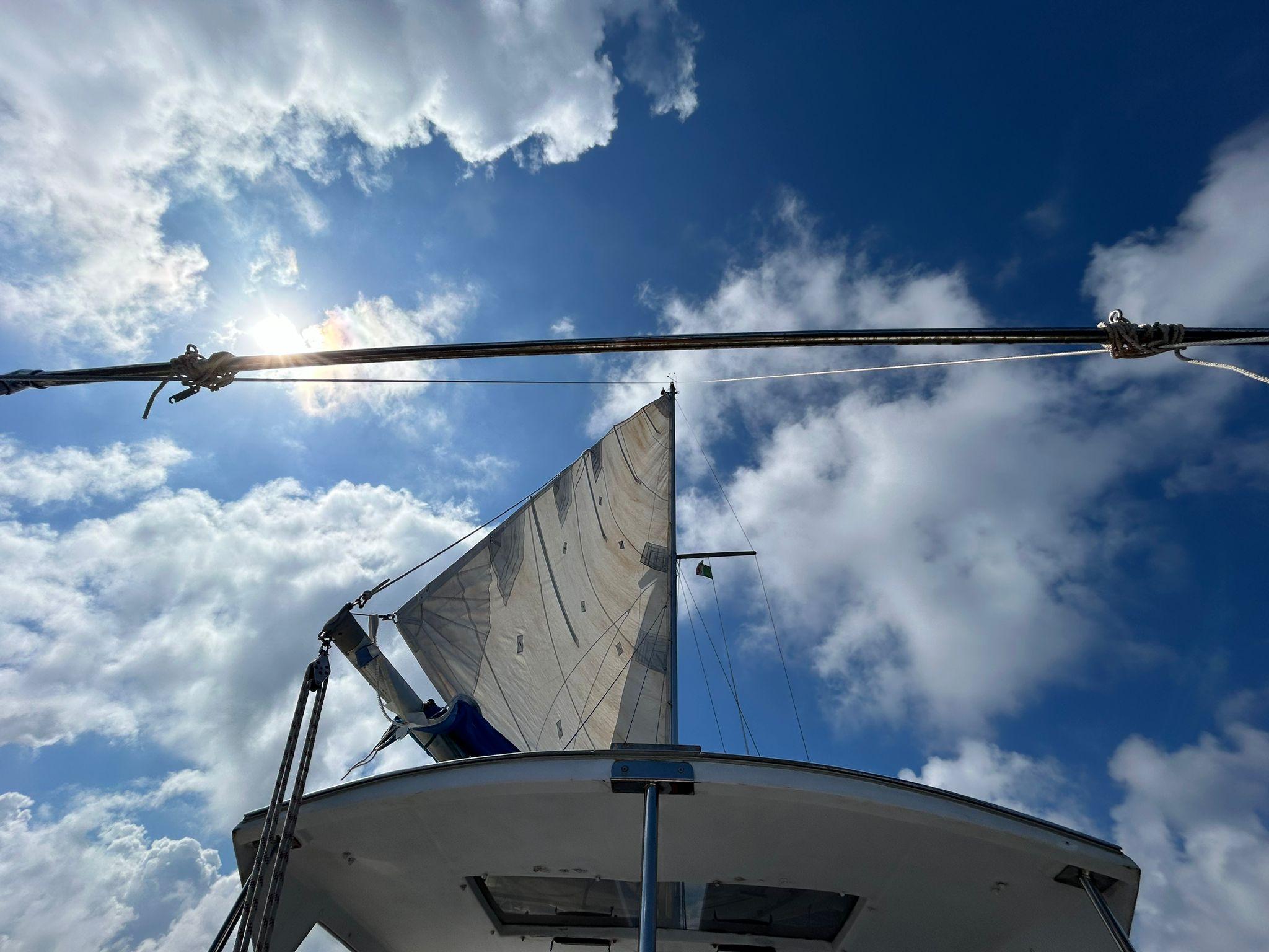 Palermo Full-Day Snorkeling Boat Tour with Lunch and Wine
