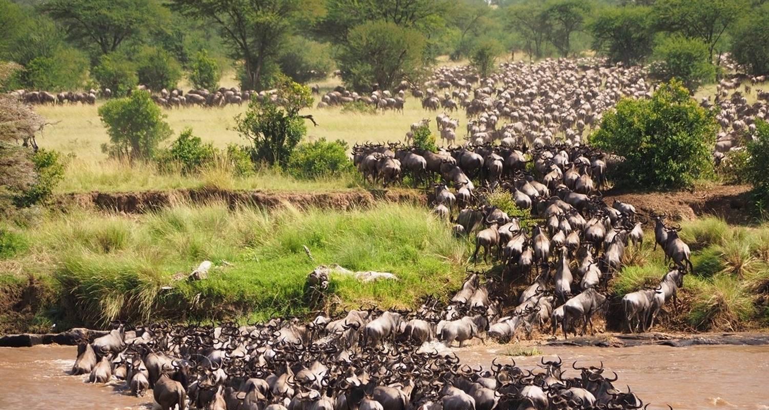 3-Day Maasai Mara Group Safari from Nairobi