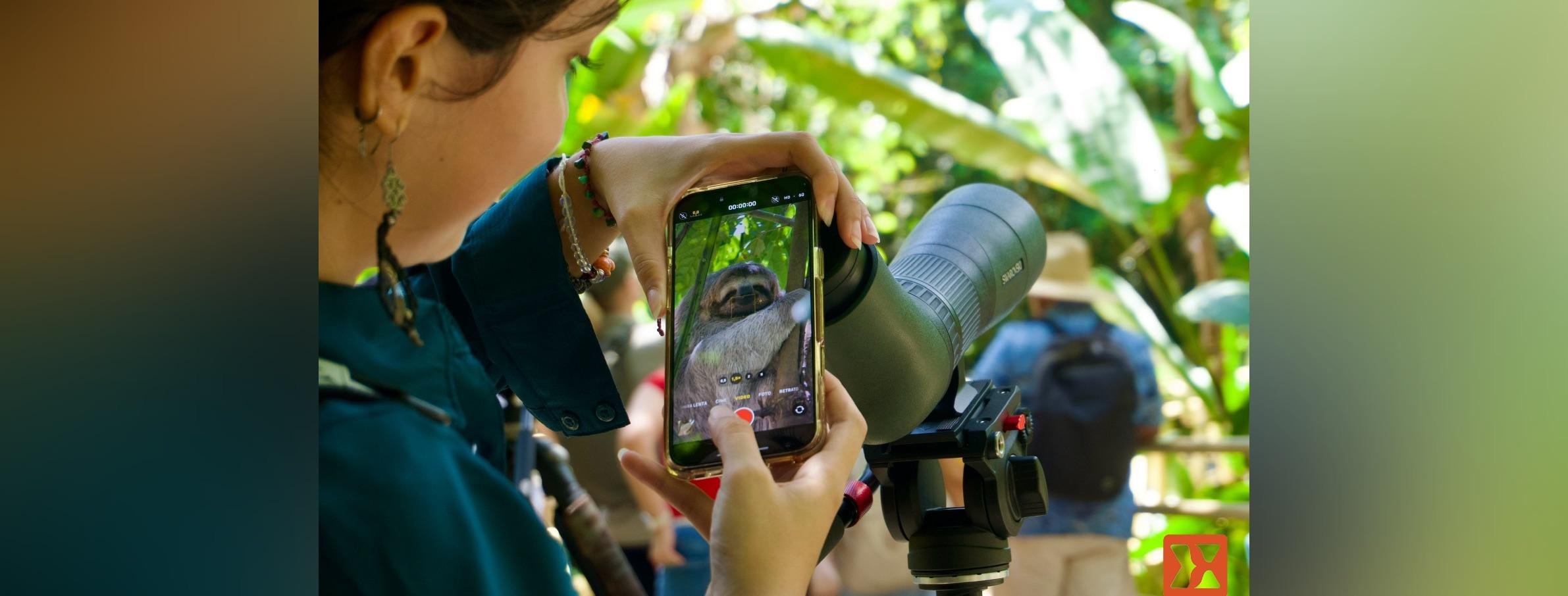 Manuel Antonio National Park: Naturalist-Led Wildlife Walking Tour