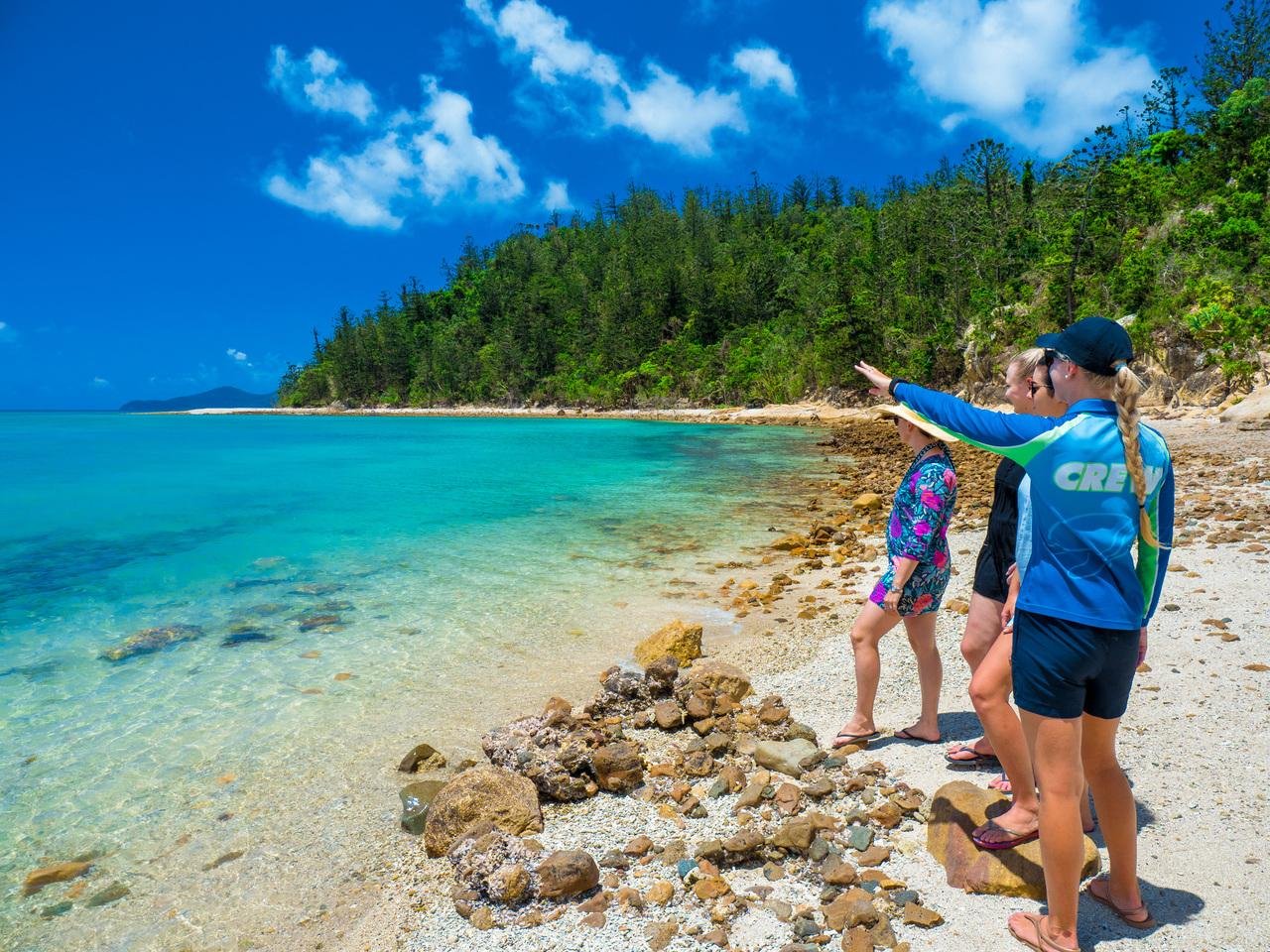 Whitsundays & Whitehaven Beach Half-Day Cruise from Airlie