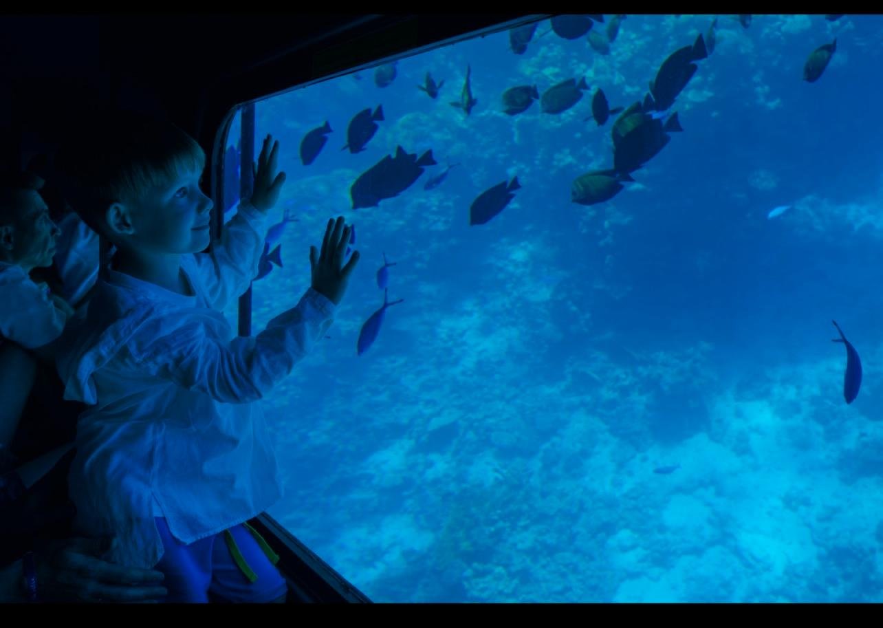 Sharm El-Sheikh Royal Seascope Semi-Submarine Cruise