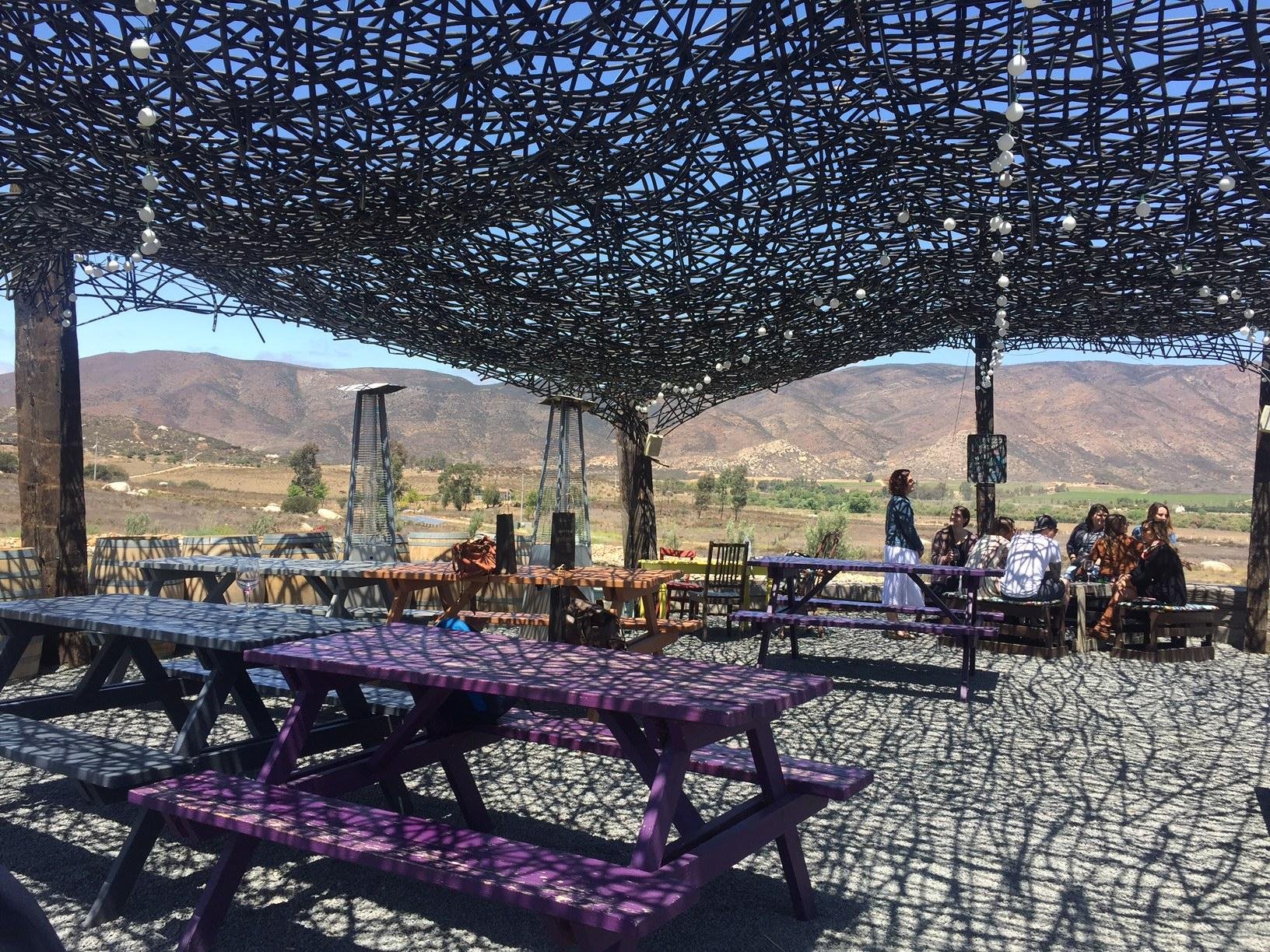 wine tour in Valle de Guadalupe — photo 35