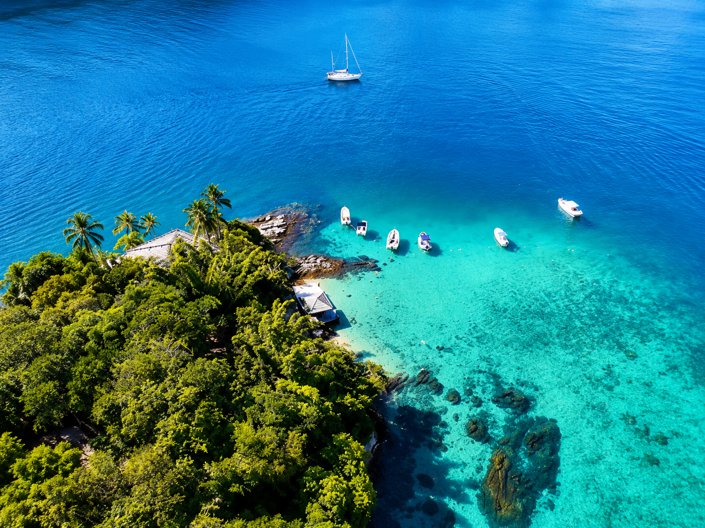 Ilha Grande & Blue Lagoon Boat Cruise from Rio