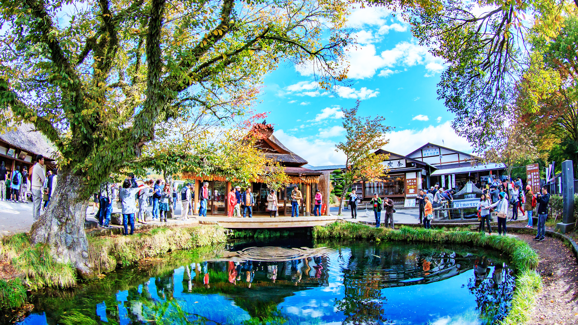 Mt. Fuji & Hakone Day Trip: Pirate Cruise, Ropeway & Shrine from Tokyo