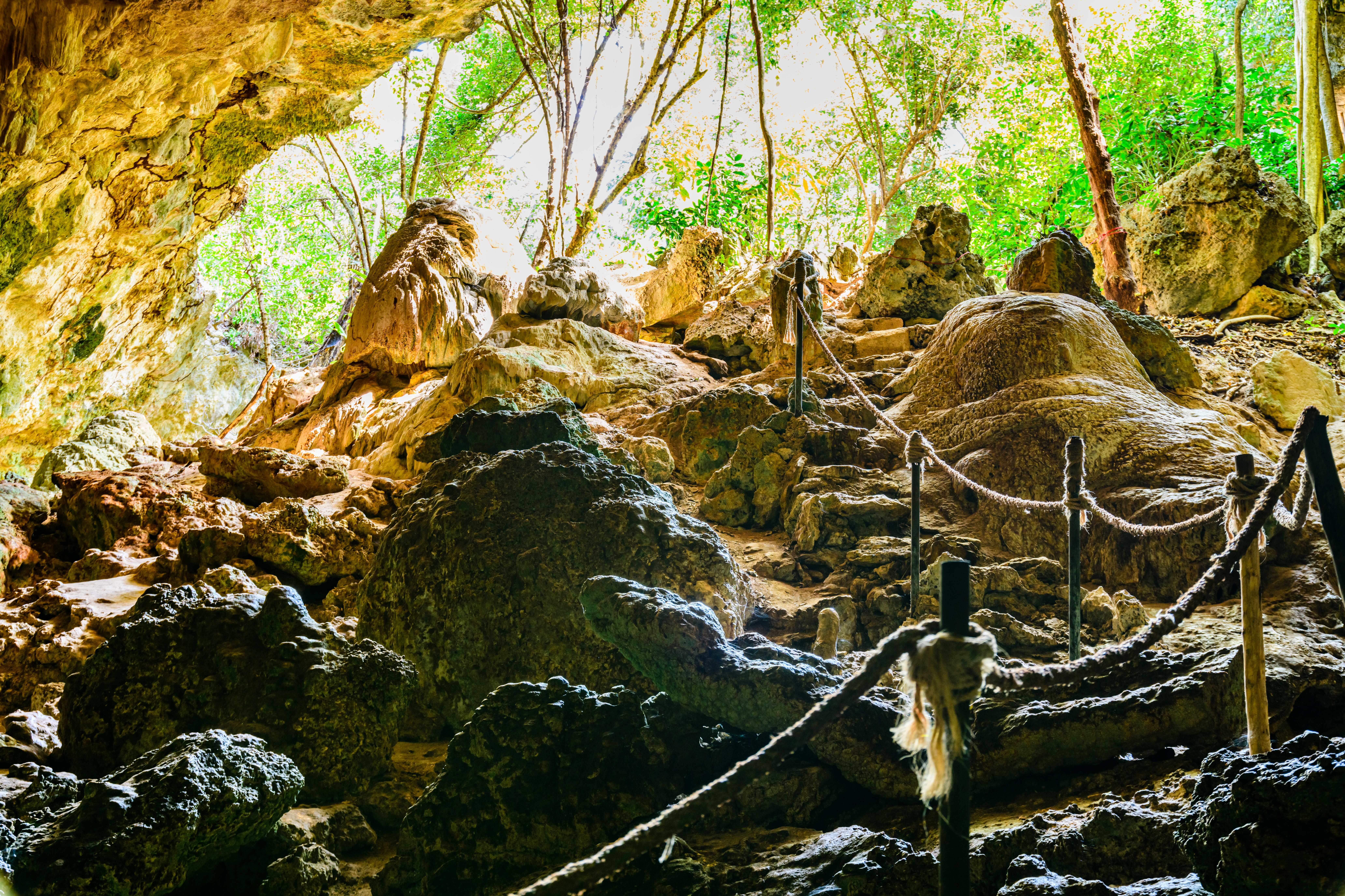 Zanzibar Hidden Gems: Secret Beach, Kuza Cave & Jozani Forest
