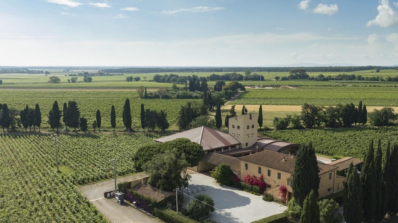 Castagneto Carducci & Bolgheri Wine Tour from Florence