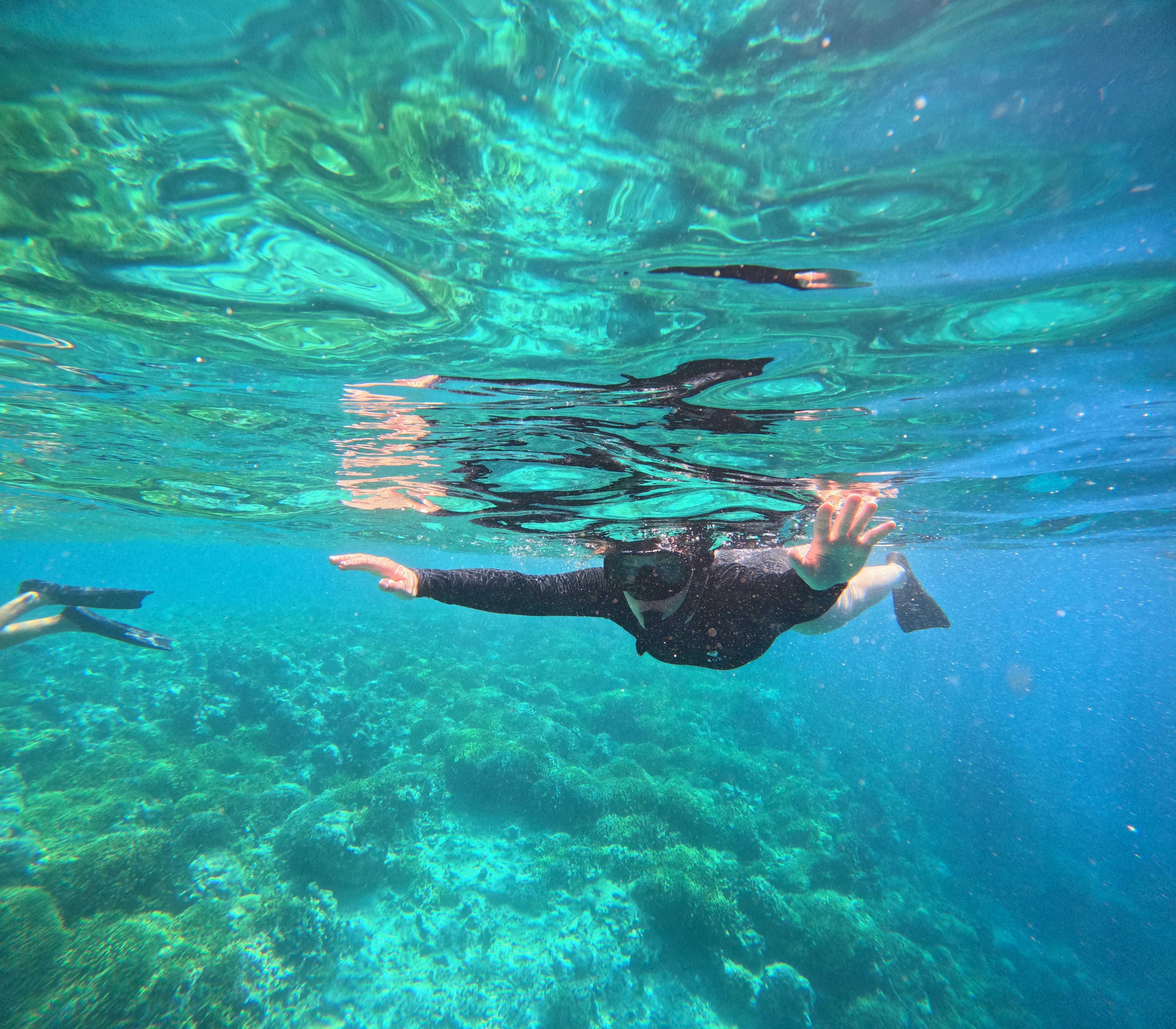 Menjangan Island Snorkeling Adventure from Lovina