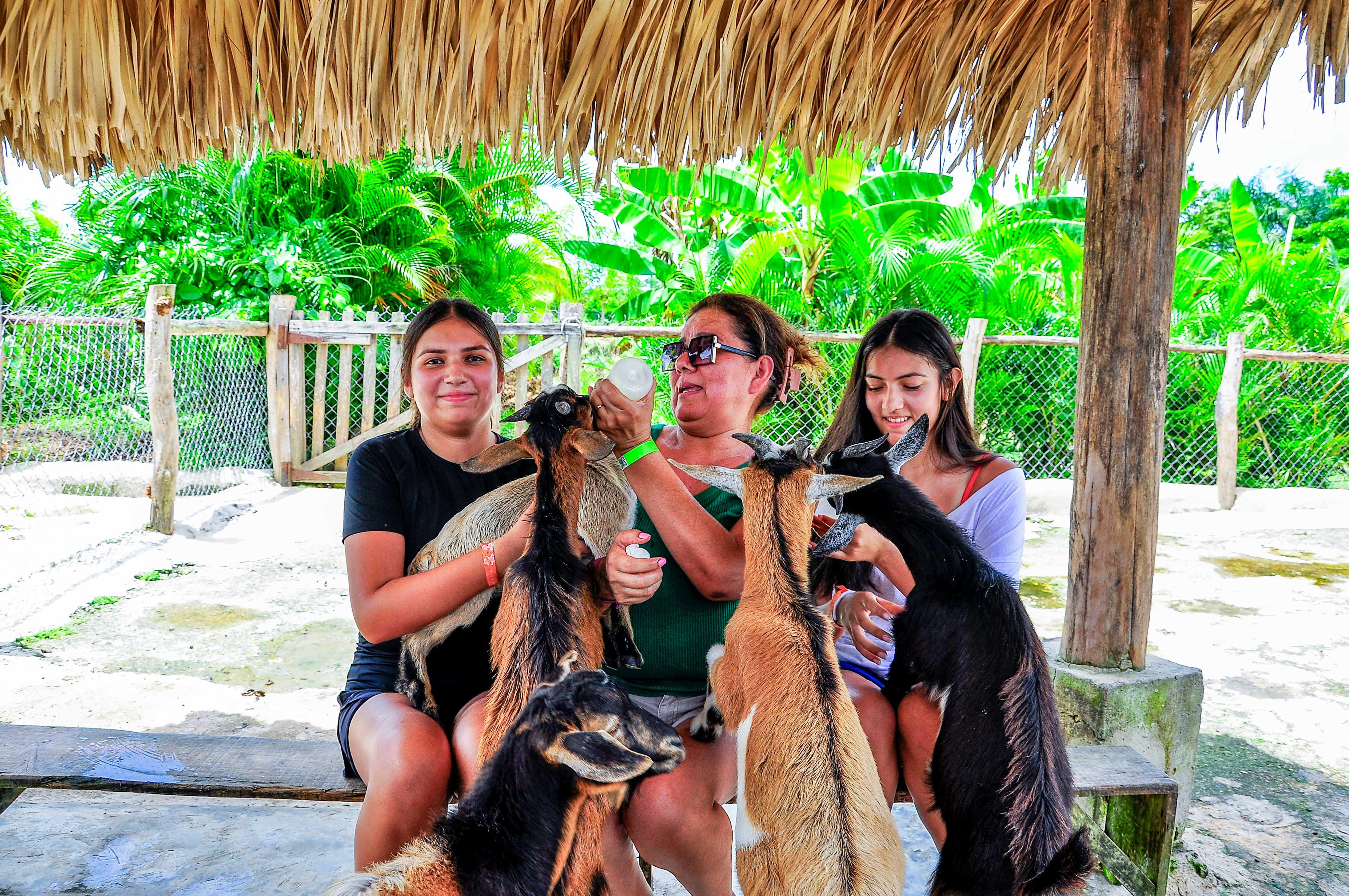 Punta Cana Monkey Park, Dominican Farm & Cenote Swim – Full Day Combo