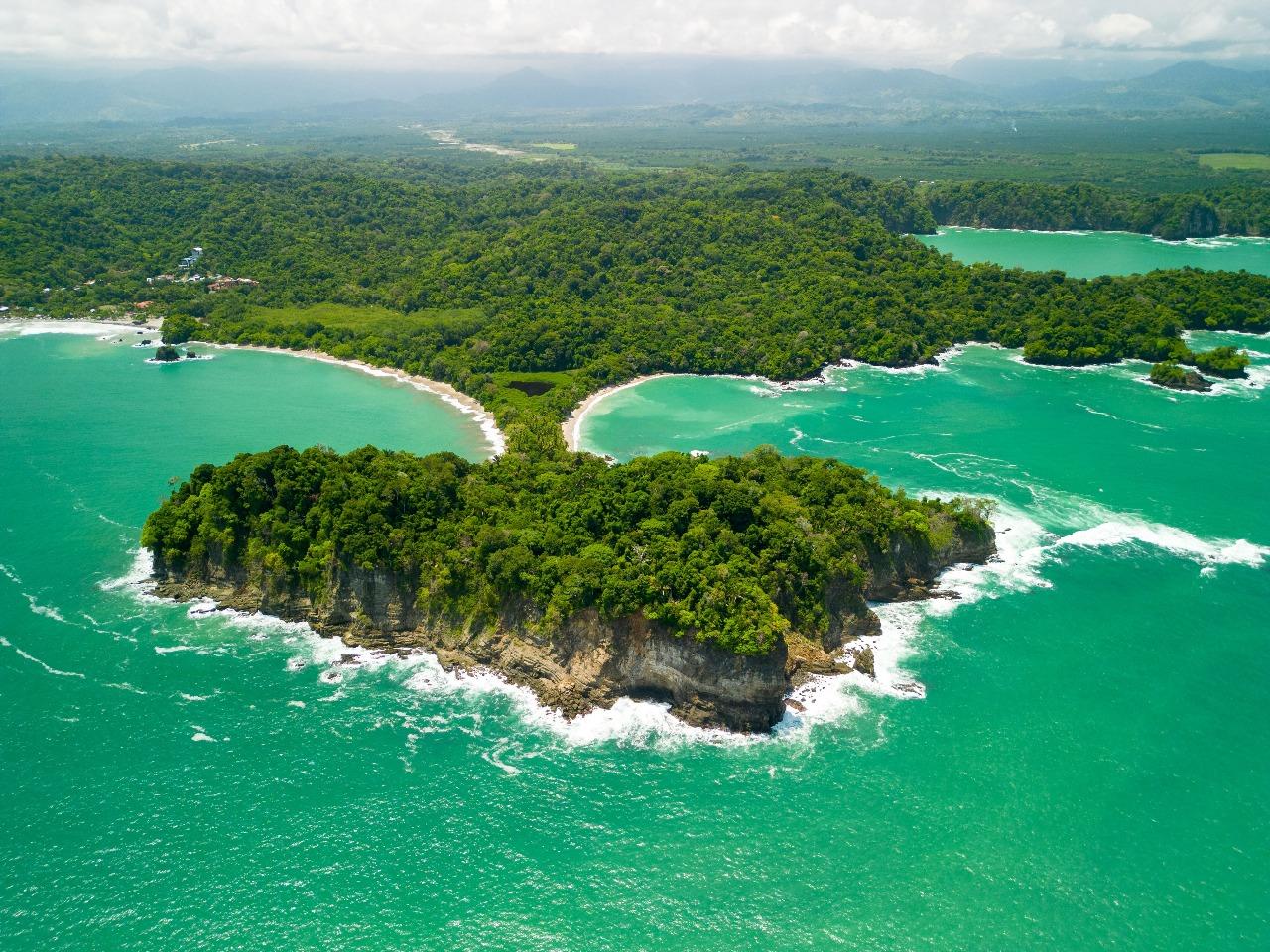 Manuel Antonio National Park: Wildlife Guided Tour with Entrance Fee