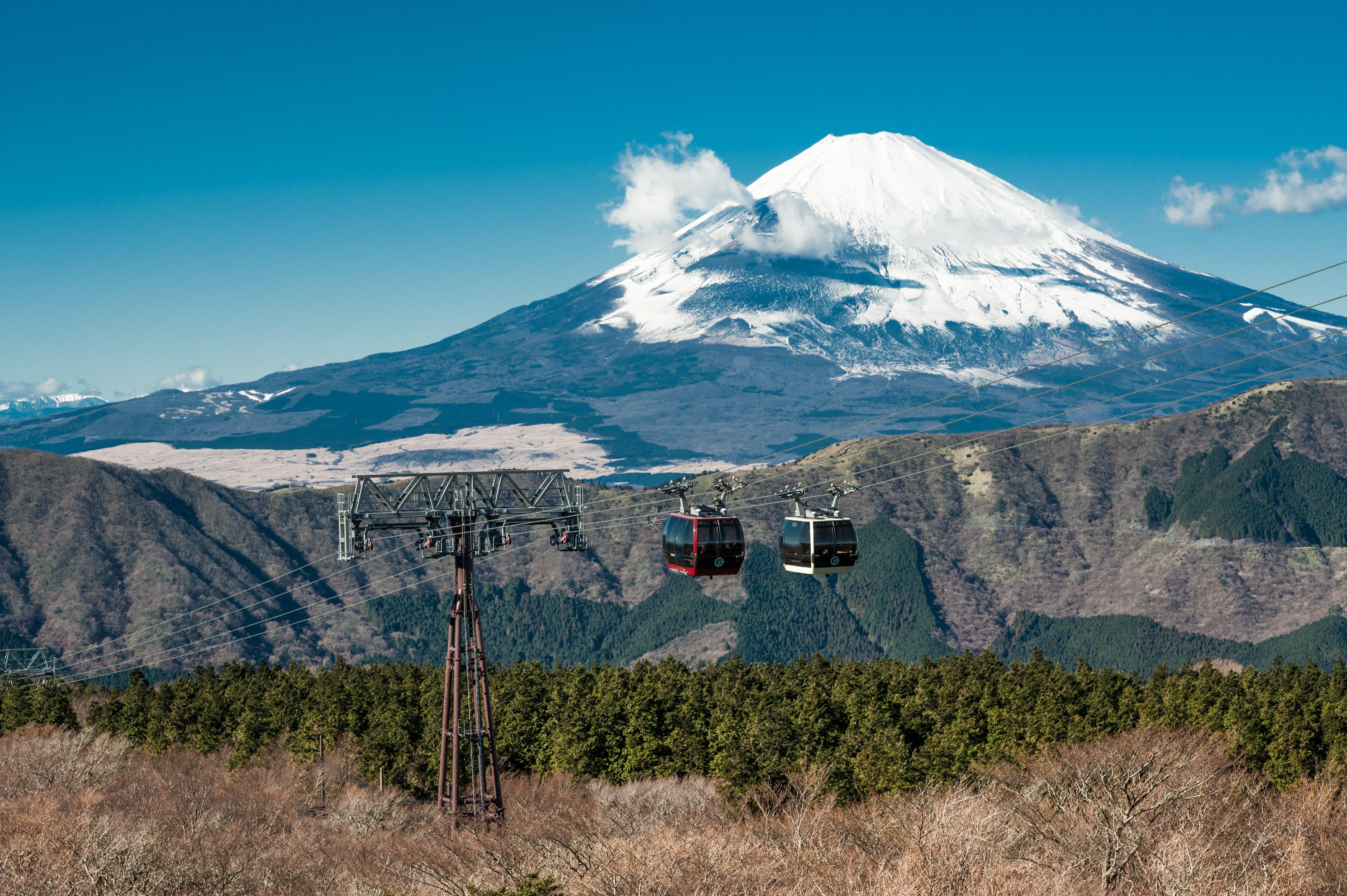 Mt. Fuji & Hakone Day Tour with Bullet Train Return from Tokyo