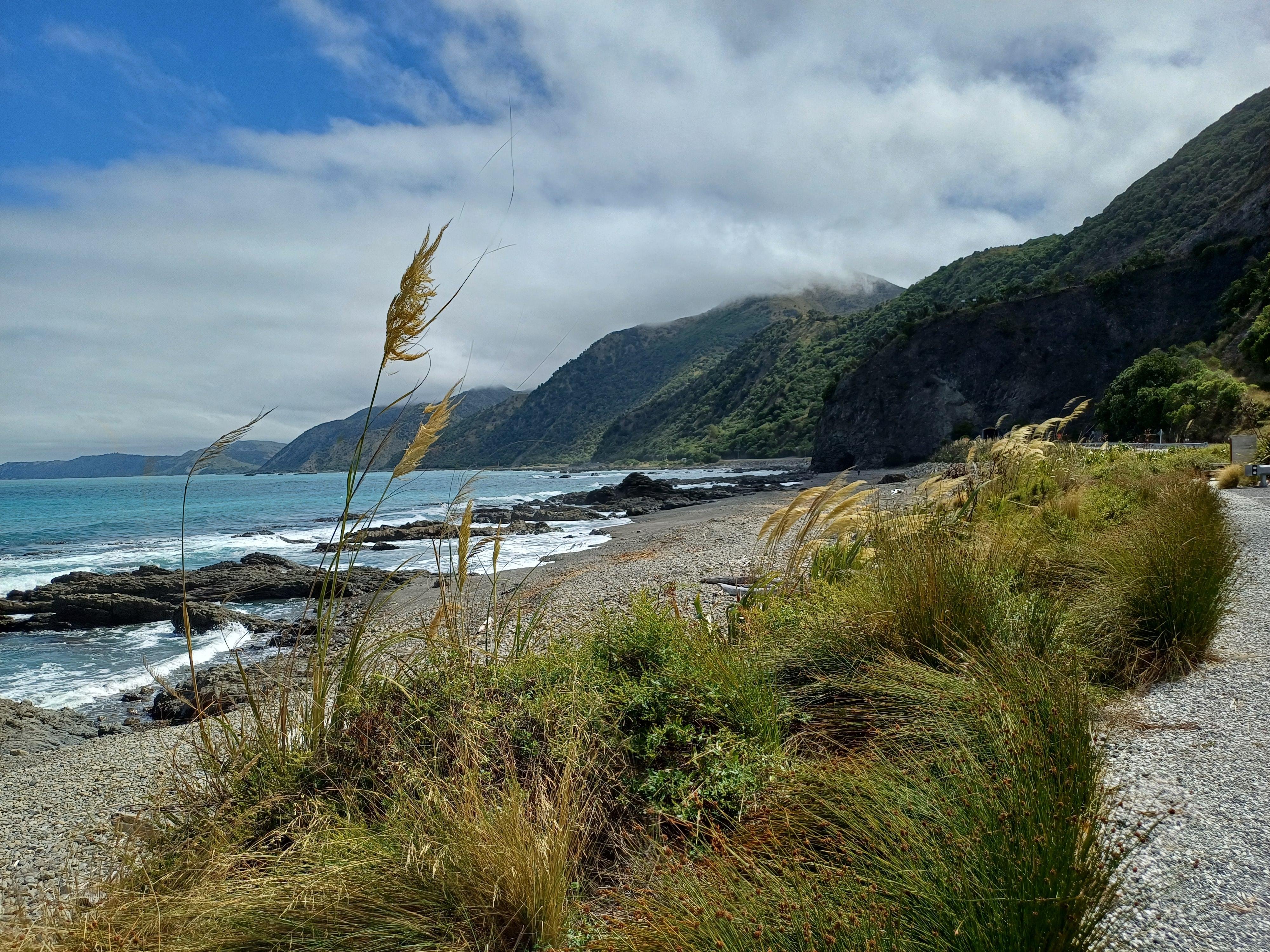 Kaikōura Coastal Discovery from Christchurch
