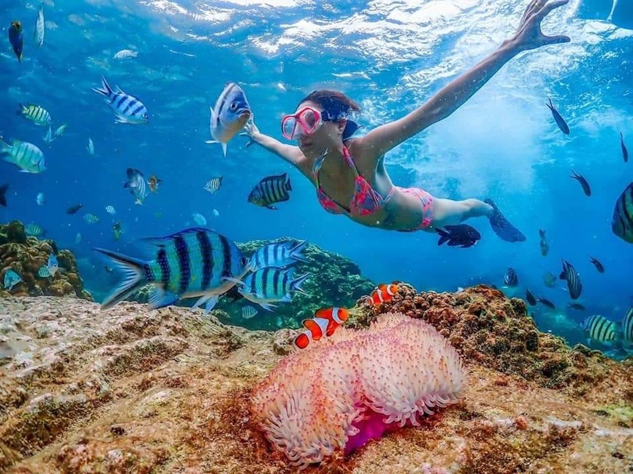 Pattaya to Coral Island: Speedboat & 4-Activity Day Trip