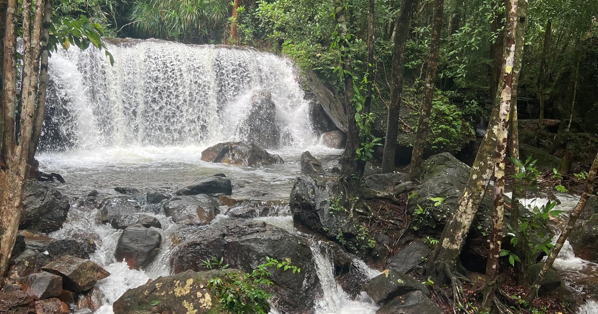 Private guide tour in Phu Quoc Island with hotels pickup - 2026 (Verified Reviews)