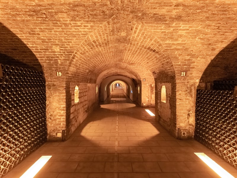 Hvælvet kælder med flasker, der ligger i hylder, i et champagnehus