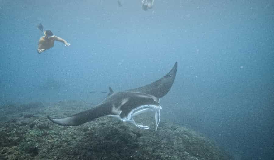 Nusa Penida yacht tour