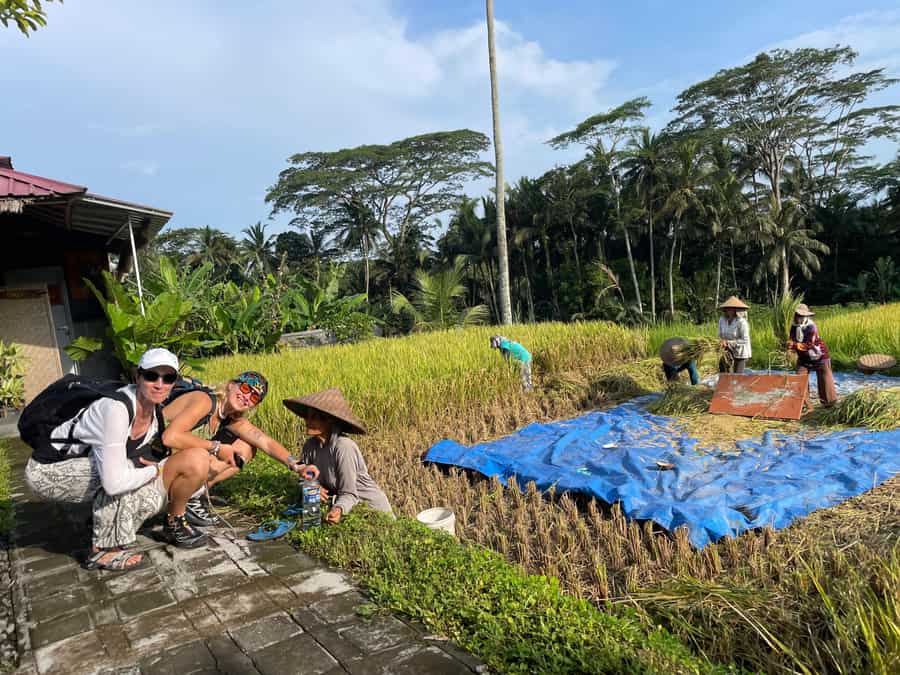Tegalalang Rice Terrace tour