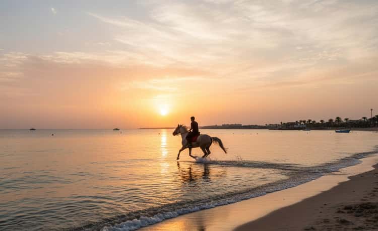 https://cdn.getyourguide.com/image/format%3Dauto%2Cfit%3Dcrop%2Cgravity%3Dauto%2Cquality%3D60%2Cwidth%3D375%2Cheight%3D230%2Cdpr%3D2/tour_img/7d5515a349be859bef6e89a909bf8f478ff9302dd460445bcf26e3a7bf172a57.jpg