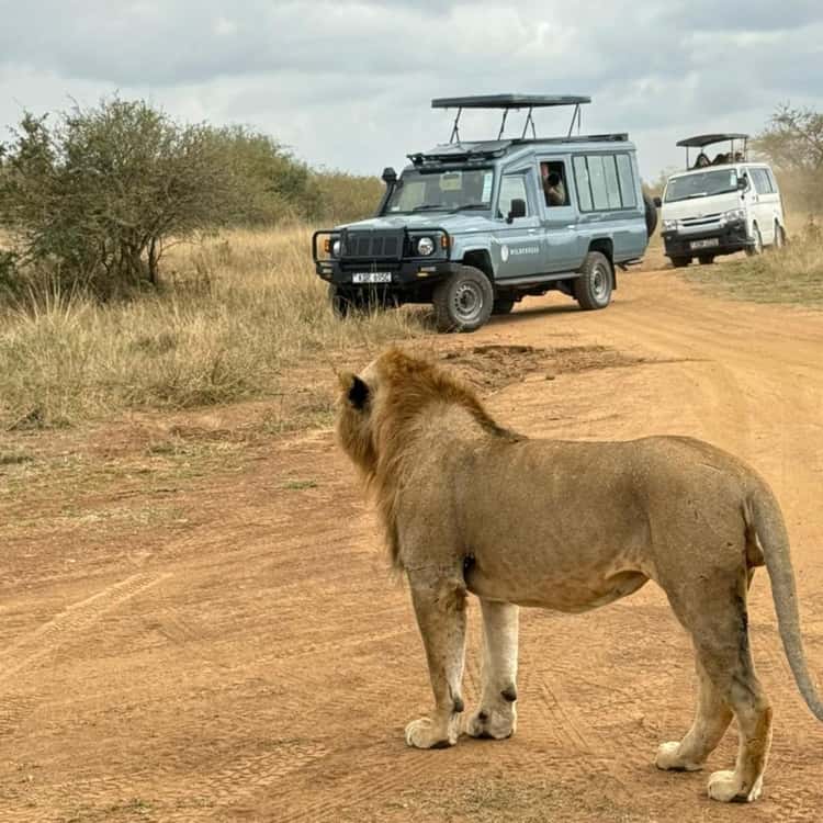 https://cdn.getyourguide.com/image/format%3Dauto%2Cfit%3Dcrop%2Cgravity%3Dauto%2Cquality%3D60%2Cwidth%3D375%2Cheight%3D375%2Cdpr%3D2/tour_img/24ff1cd86f04b02b0a17919aa3791dead9562641526e9cf1dadde8df4d467c69.jpg