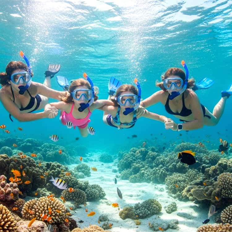 Family snorkeling together in the Red Sea