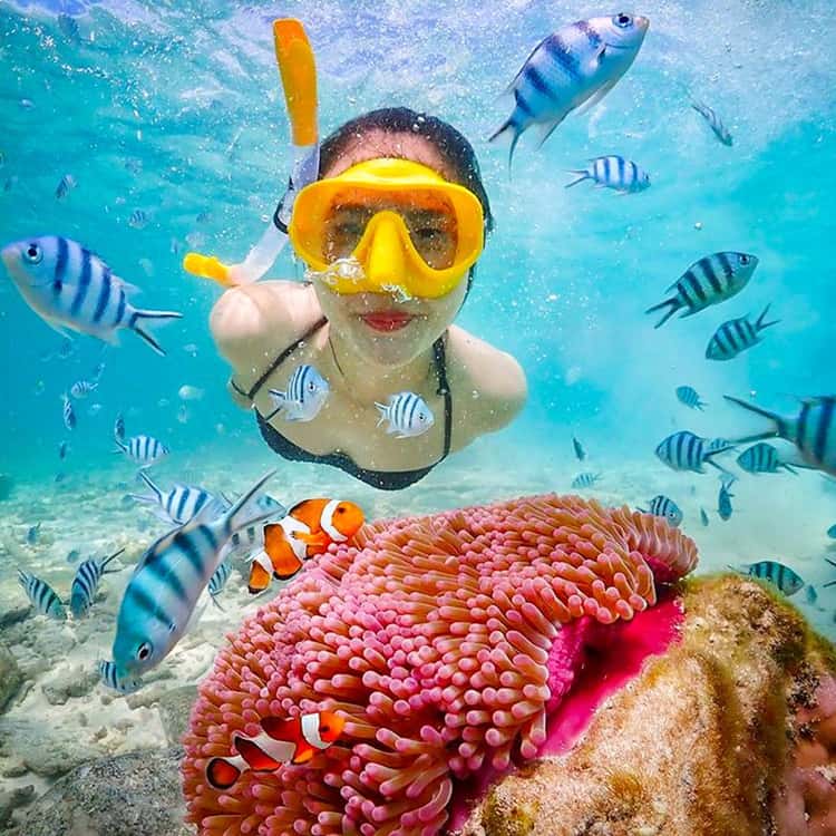 https://cdn.getyourguide.com/image/format%3Dauto%2Cfit%3Dcrop%2Cgravity%3Dauto%2Cquality%3D60%2Cwidth%3D375%2Cheight%3D375%2Cdpr%3D2/tour_img/f8d0a66b95f12d7e375f76e4c9cf2648c5d28cd7c37e5320edb81a145faa3320.jpg
